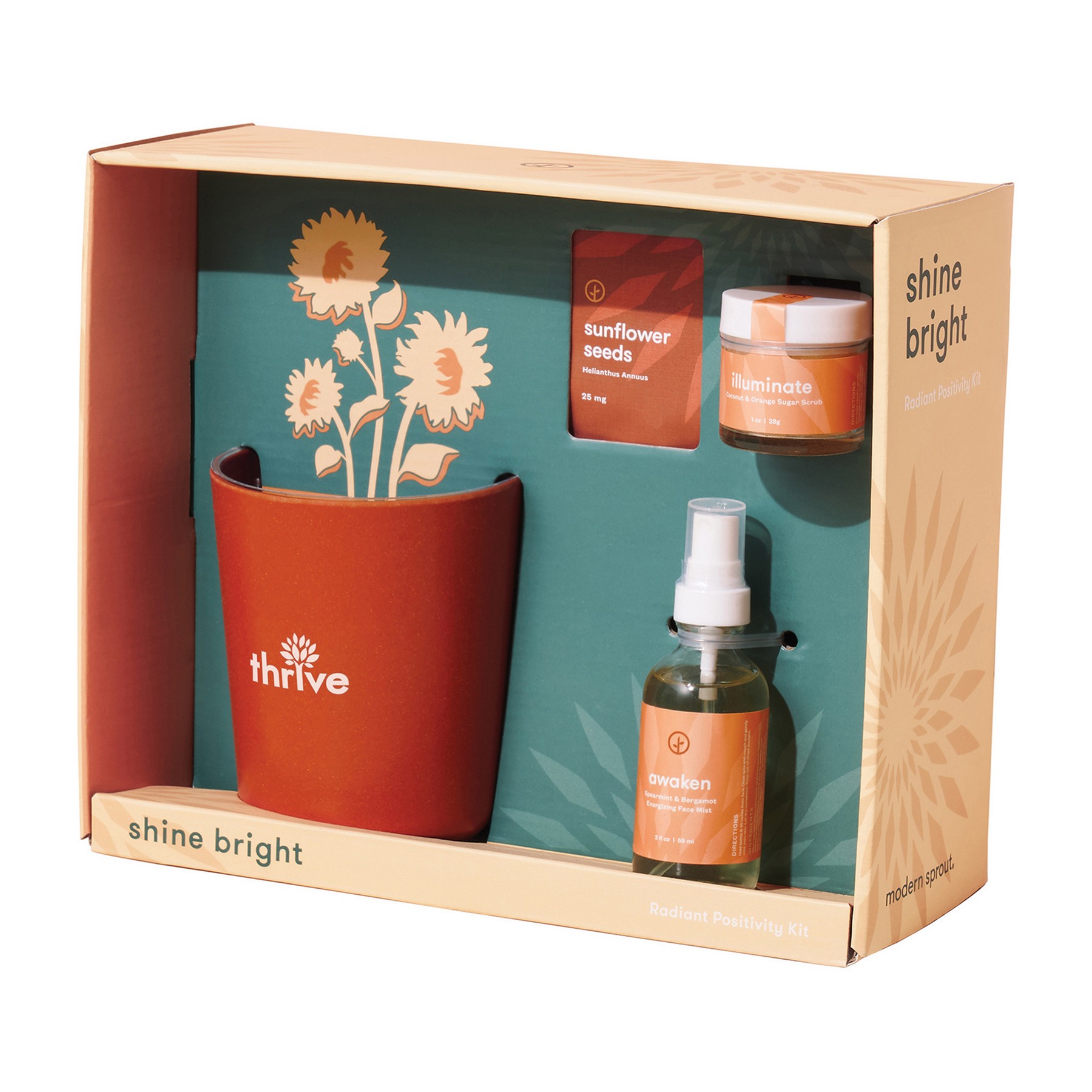 Picture of Modern Sprout Shine Bright Take Care Kit - Sunflower - Shine Bright Sunflower