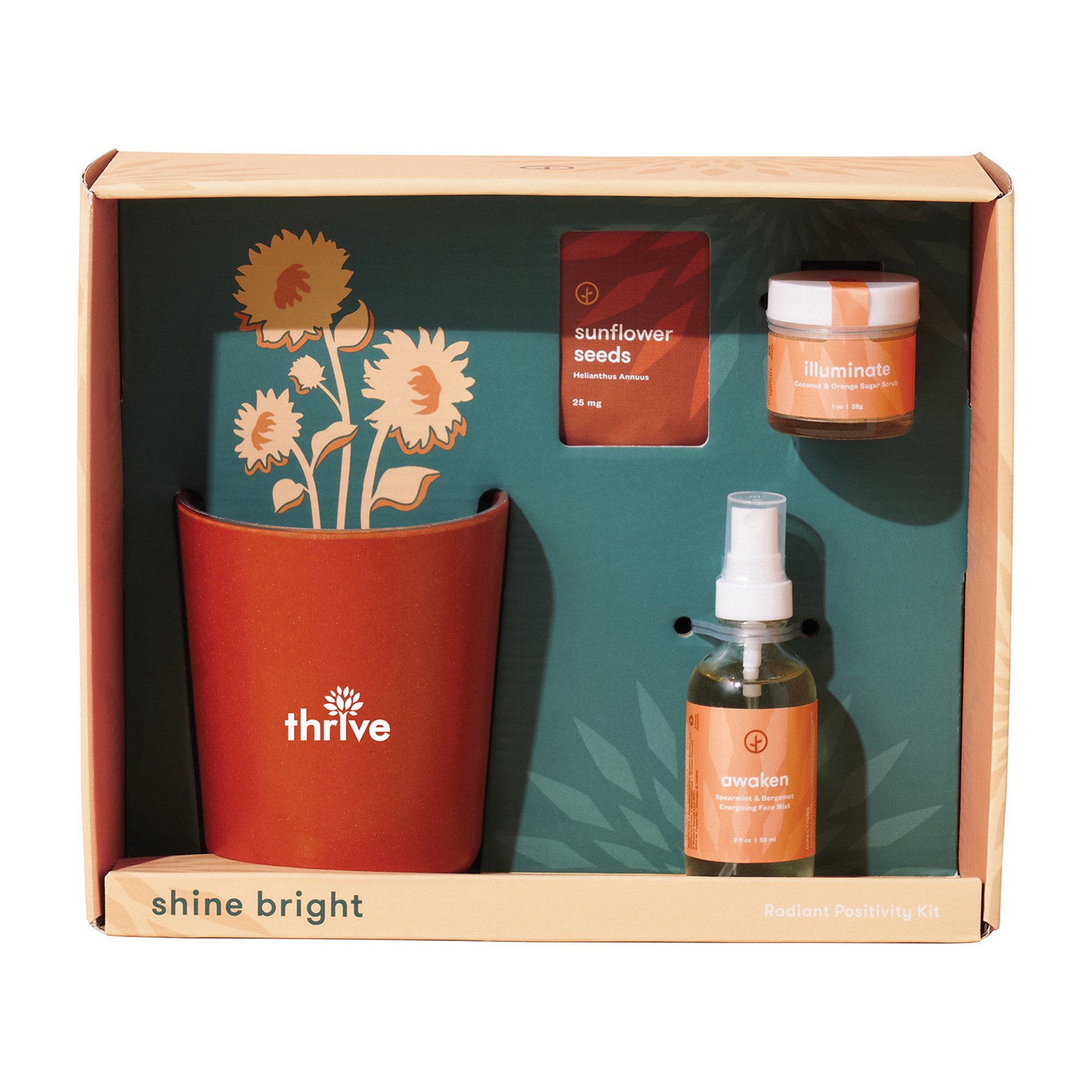 Picture of Modern Sprout Shine Bright Take Care Kit - Sunflower - Shine Bright Sunflower