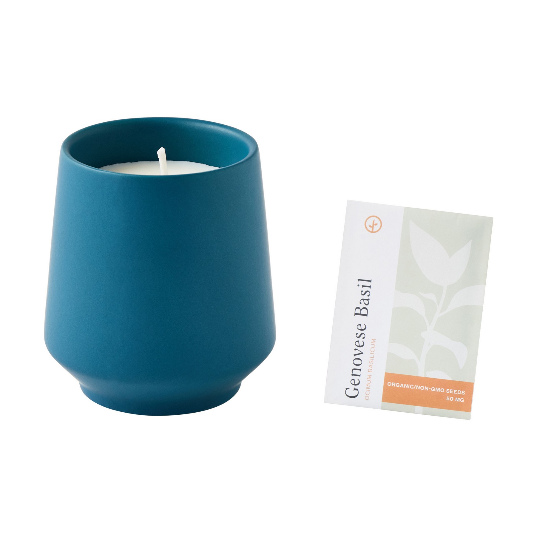 Picture of Modern Sprout Rooted Candle - Blue-Basil