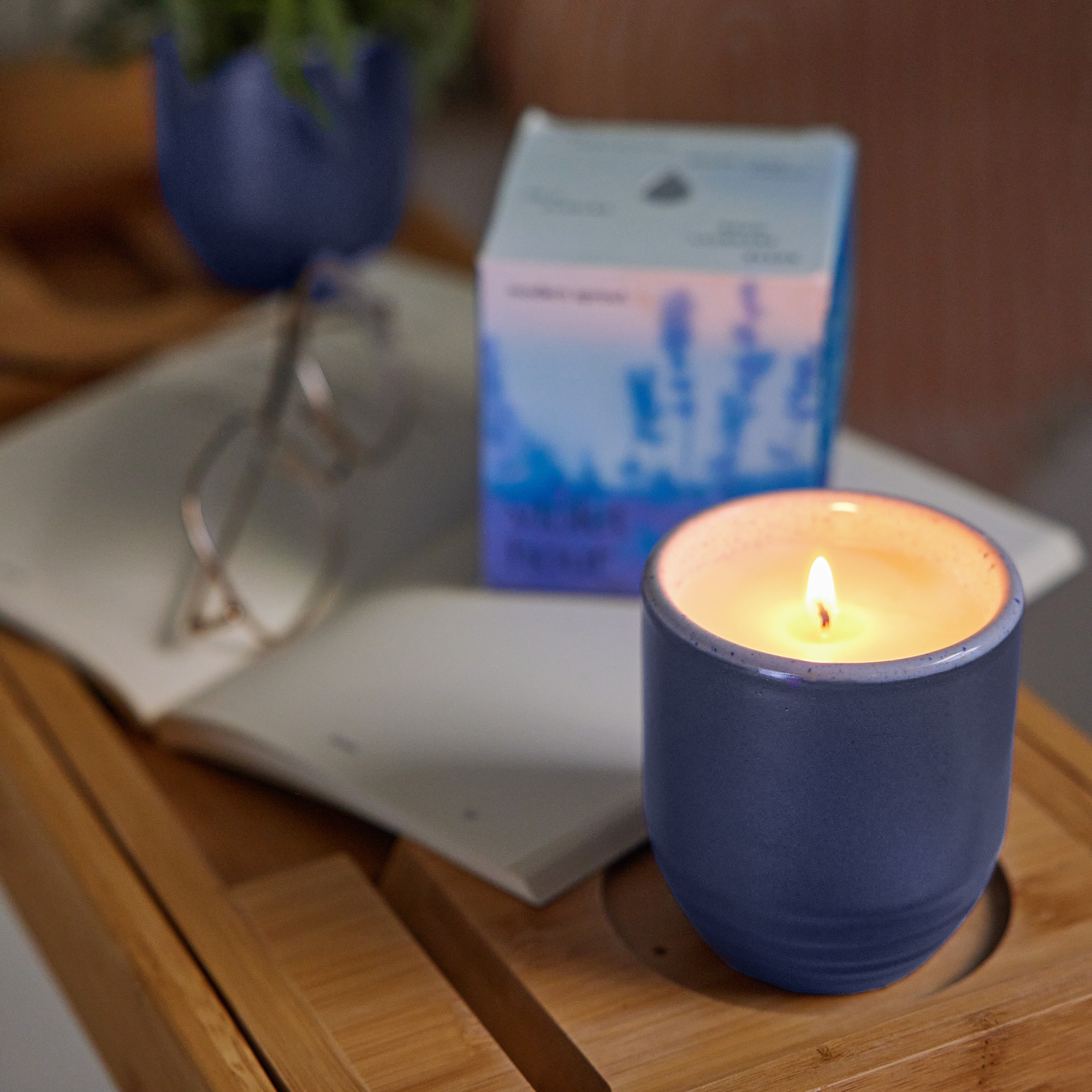 Picture of Modern Sprout Garden Vibes Candle/Planter - Violet Hour-Lavender