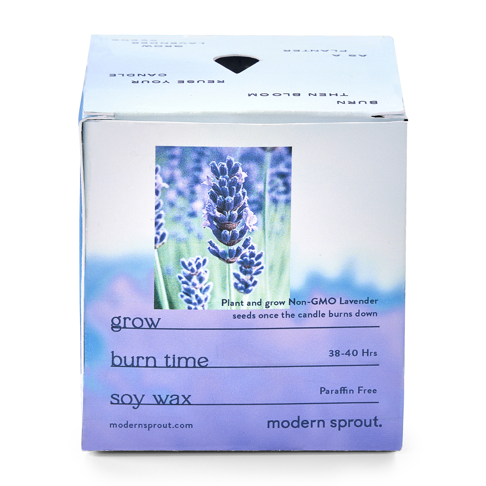 Picture of Modern Sprout Garden Vibes Candle/Planter - Violet Hour-Lavender