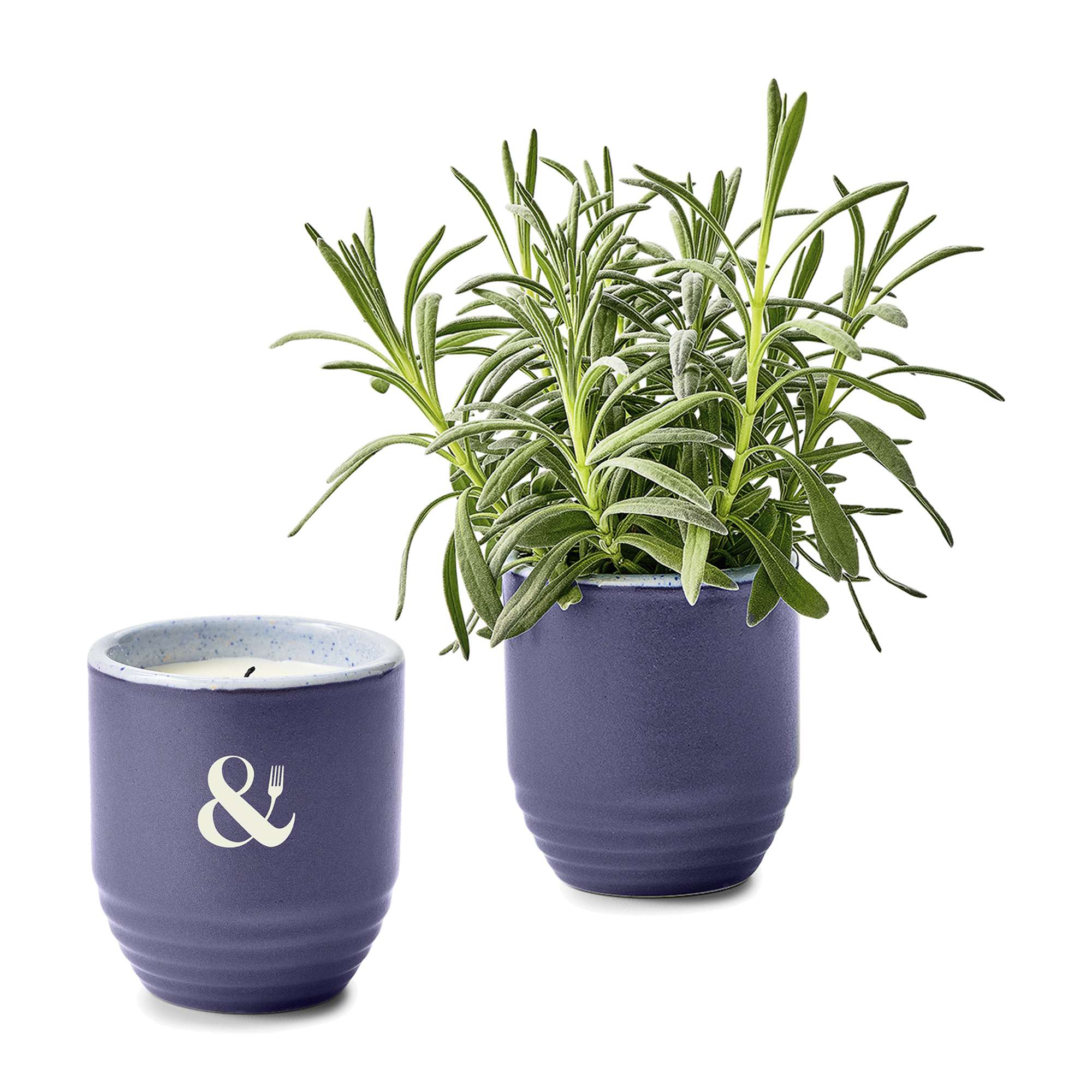 Picture of Modern Sprout Garden Vibes Candle/Planter - Violet Hour-Lavender