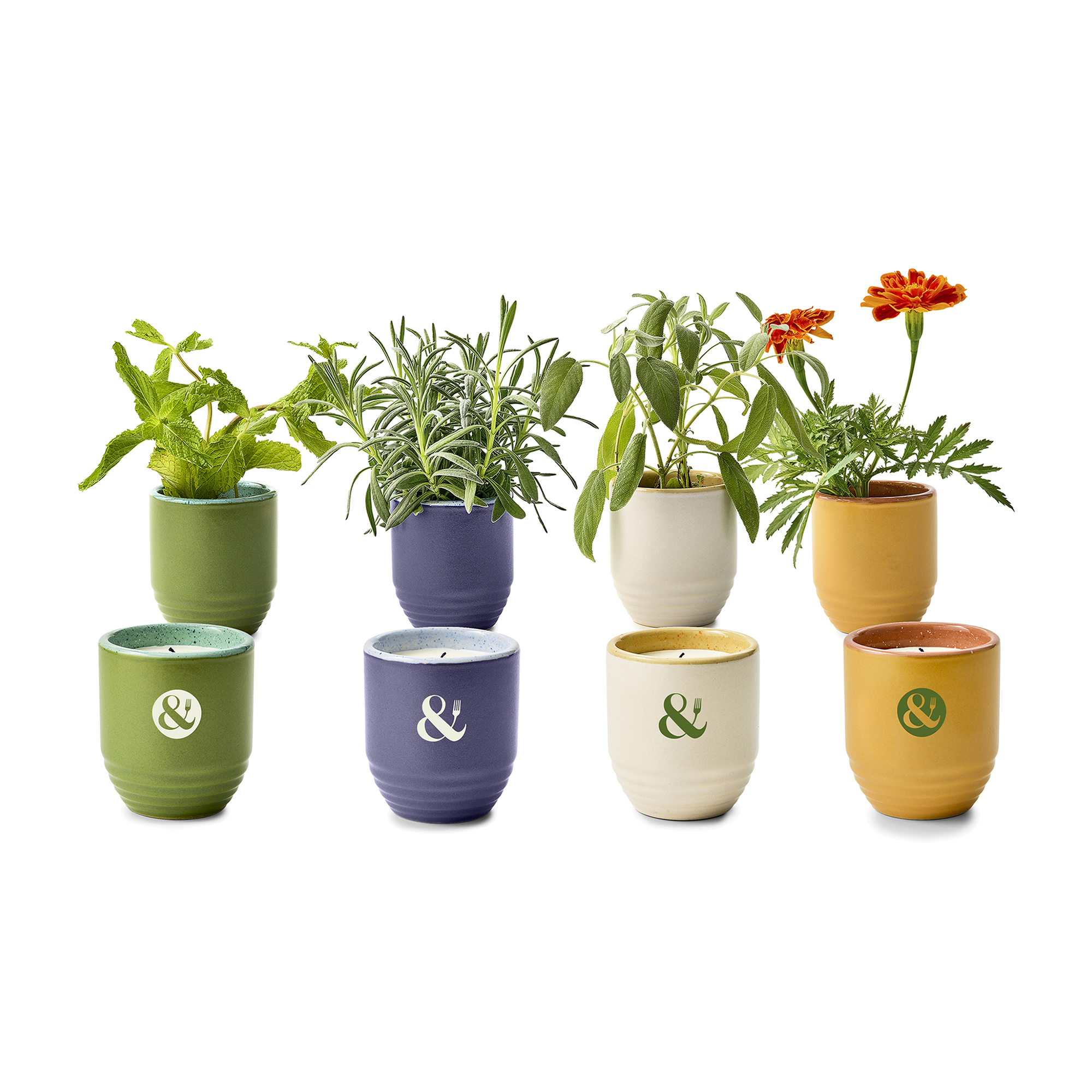Picture of Modern Sprout Garden Vibes Candle/Planter - Violet Hour-Lavender