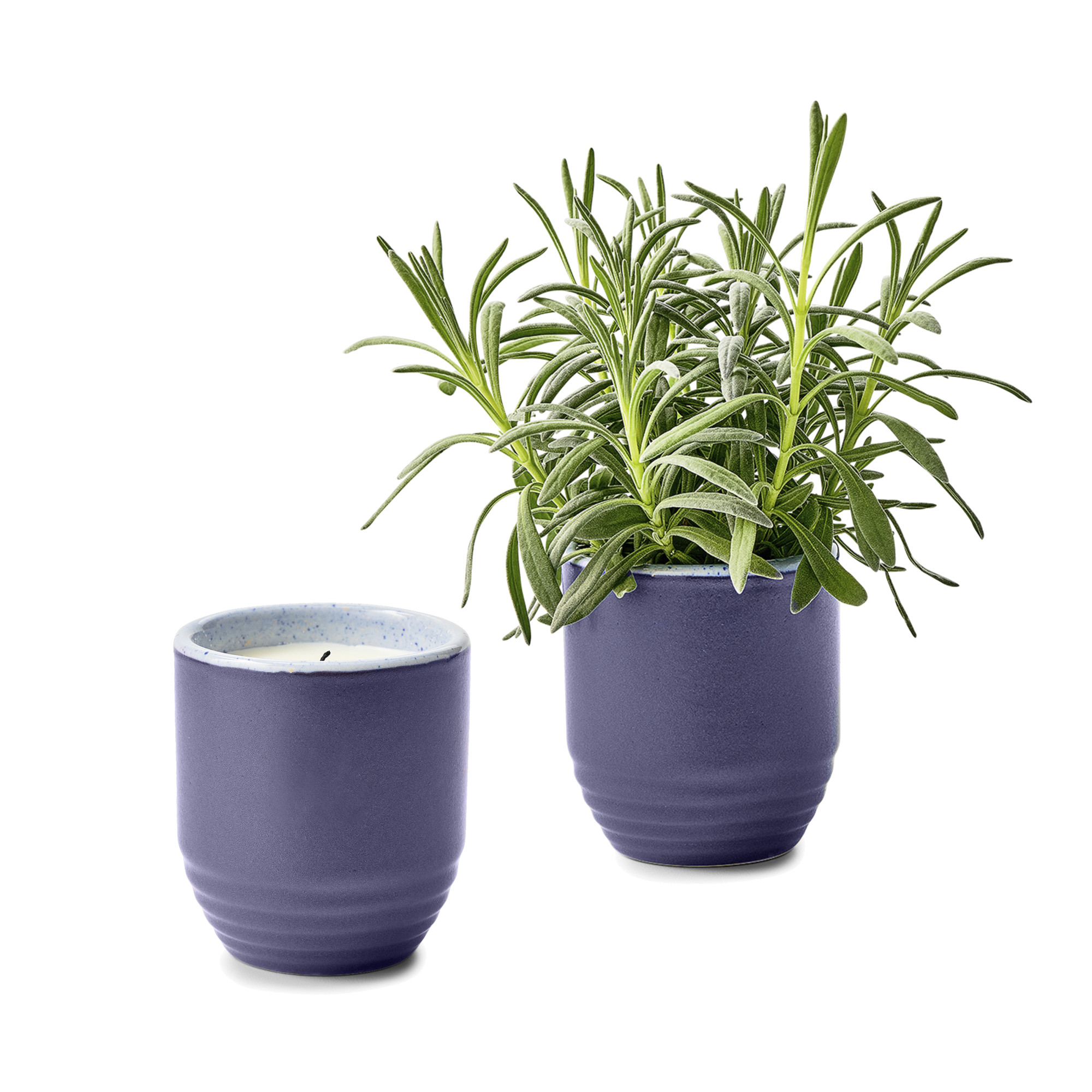 Picture of Modern Sprout Garden Vibes Candle/Planter - Violet Hour-Lavender