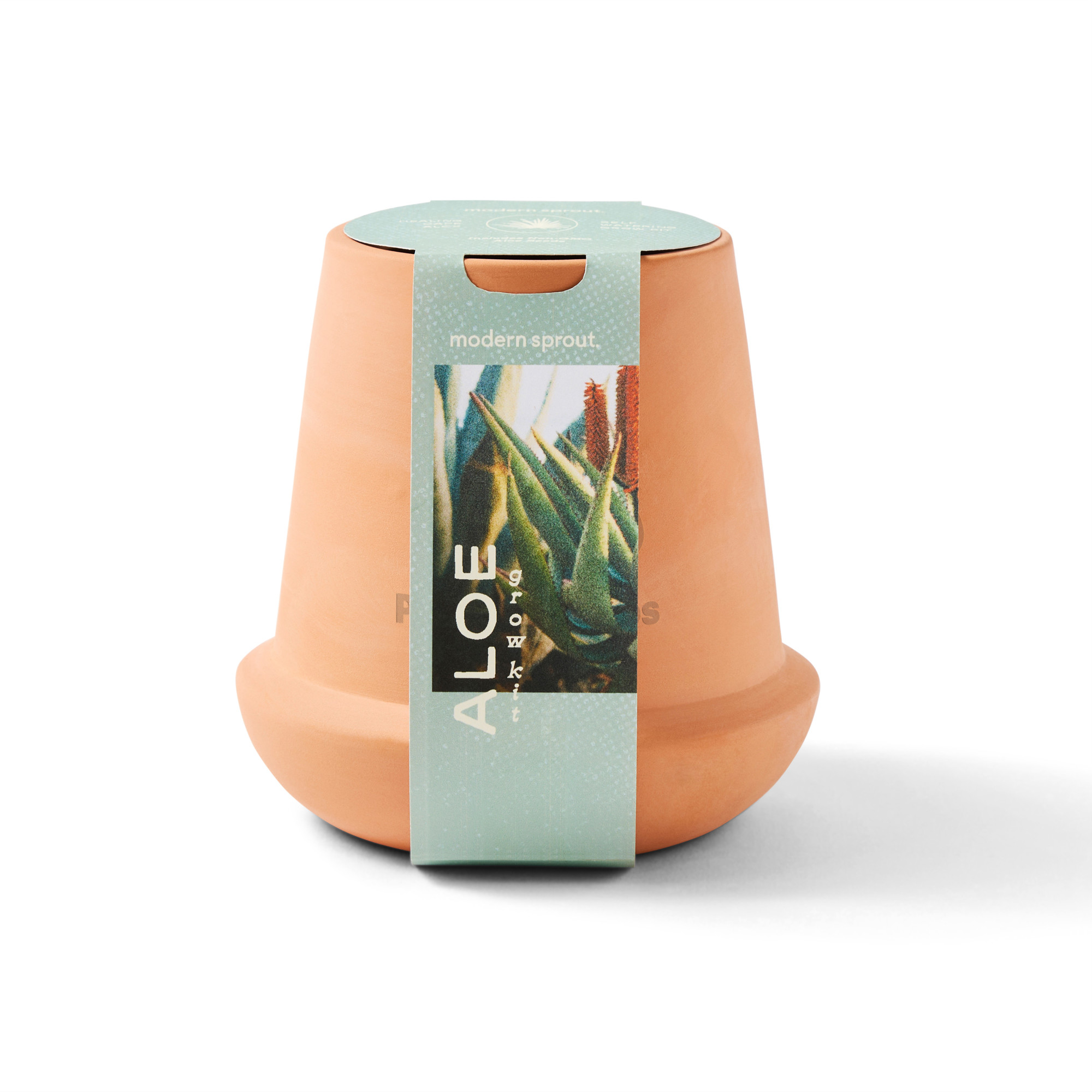 Picture of Modern Sprout Modern Terracotta Grow Kit Aloe - Terracotta