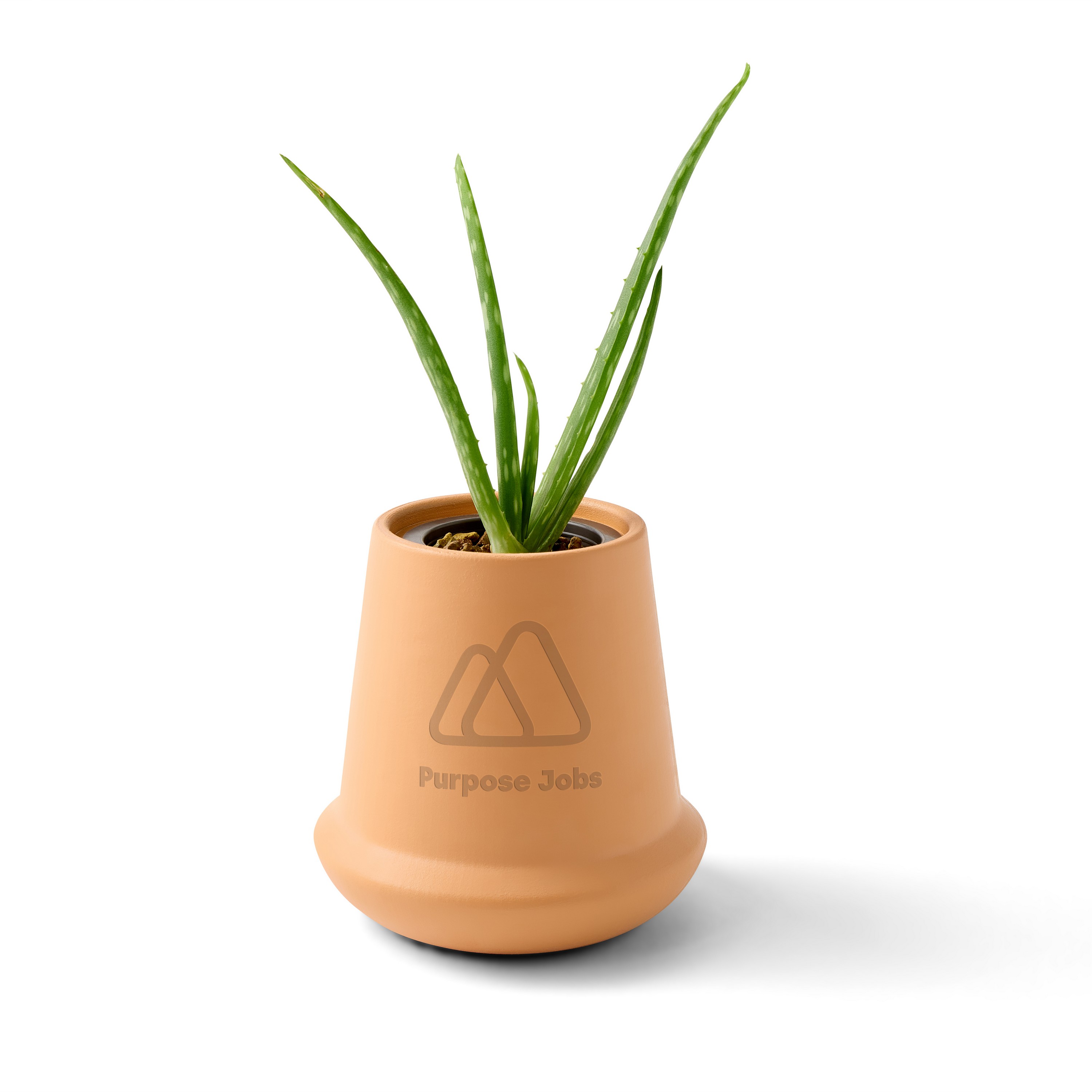Picture of Modern Sprout Modern Terracotta Grow Kit Aloe - Terracotta