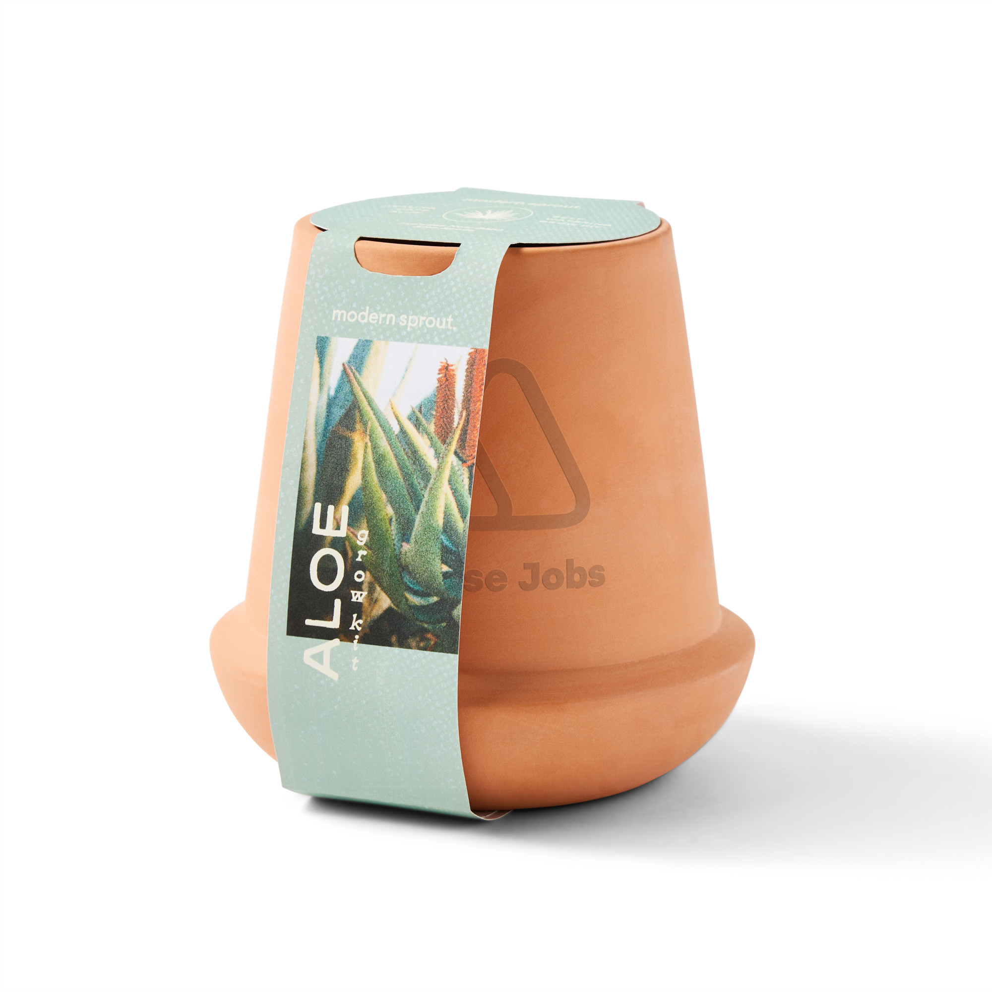 Picture of Modern Sprout Modern Terracotta Grow Kit Aloe - Terracotta
