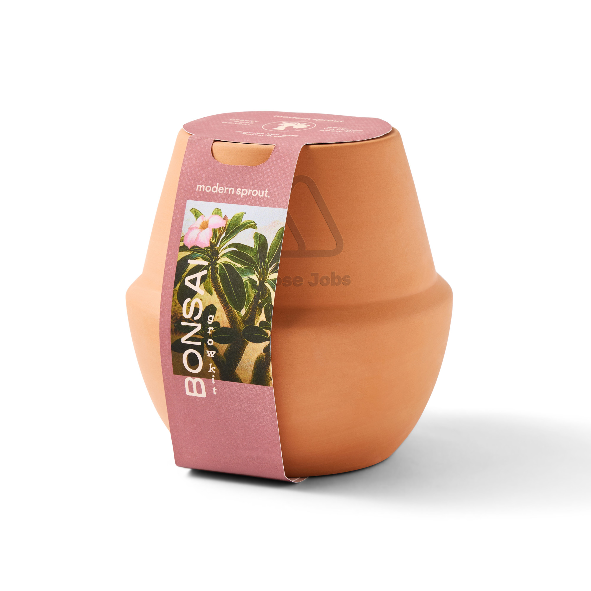 Picture of Modern Sprout Modern Terracotta Grow Kit Bonsai - Terracotta