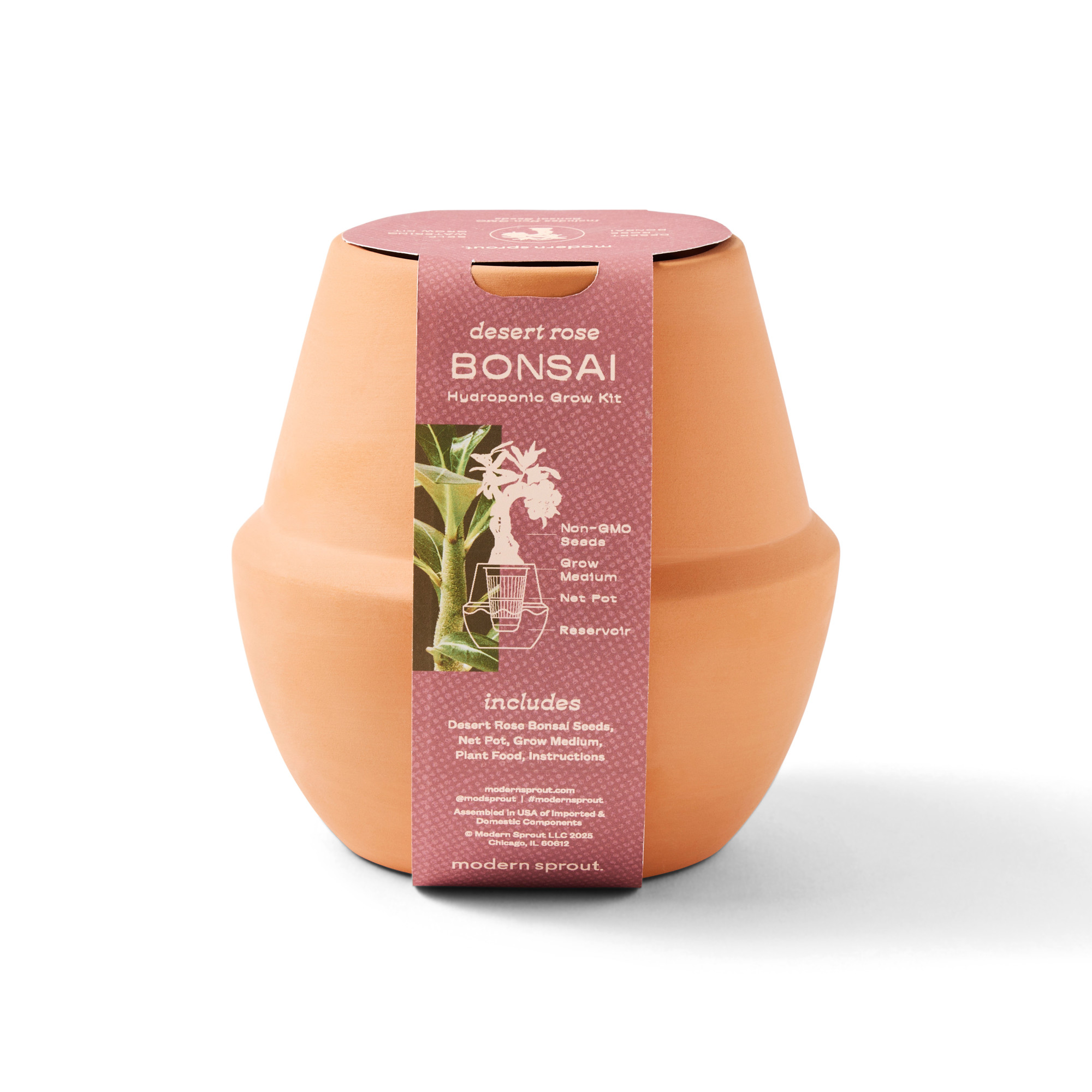 Picture of Modern Sprout Modern Terracotta Grow Kit Bonsai - Terracotta