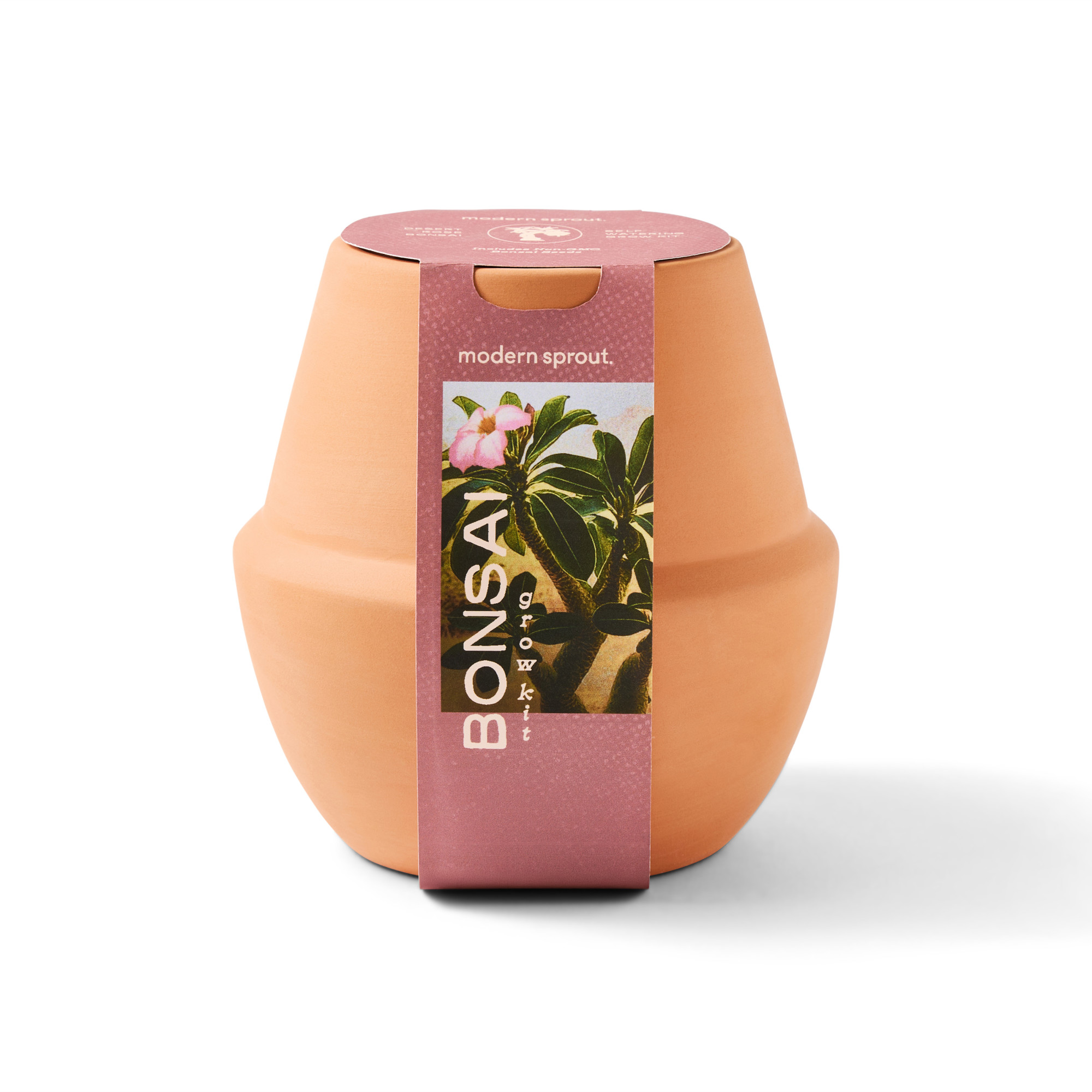 Picture of Modern Sprout Modern Terracotta Grow Kit Bonsai - Terracotta