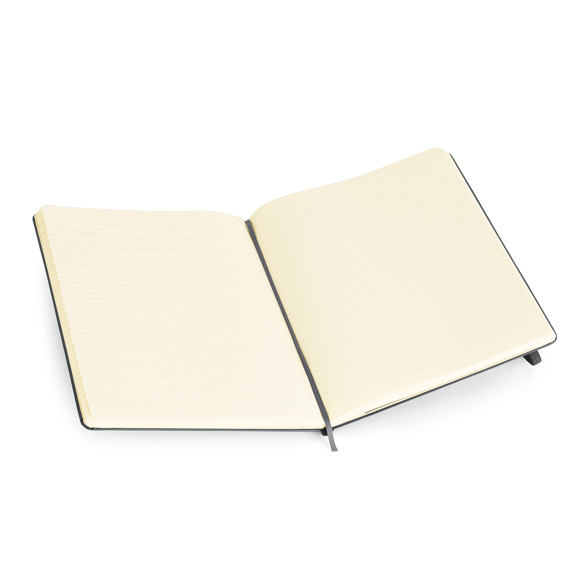 Picture of Moleskine Hard Cover Ruled X-Large Notebook - Slate Grey