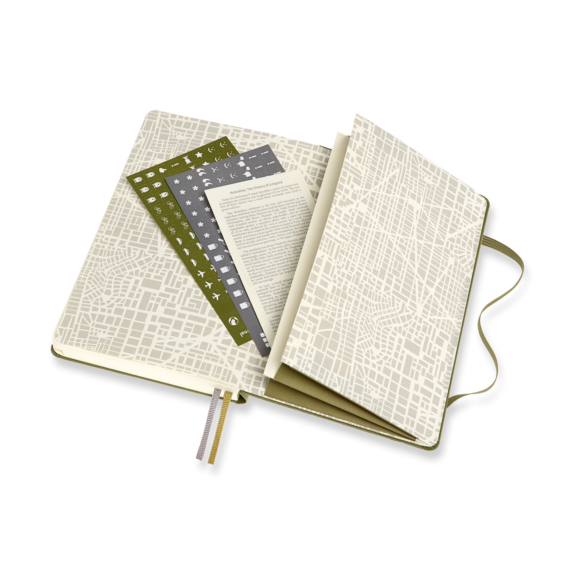 Picture of Moleskine Passion Journal - Travel - Elm Green