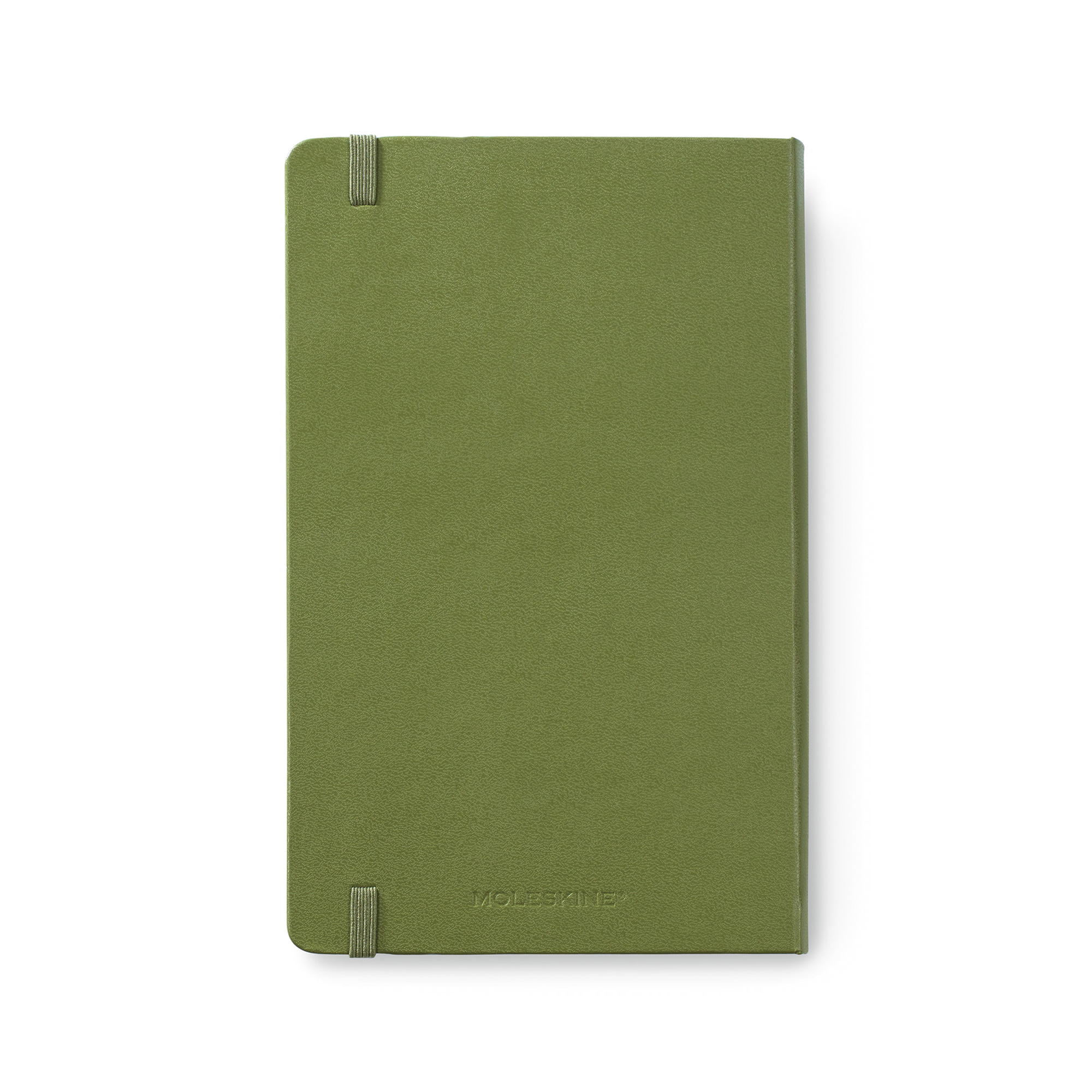 Picture of Moleskine Passion Journal - Travel - Elm Green