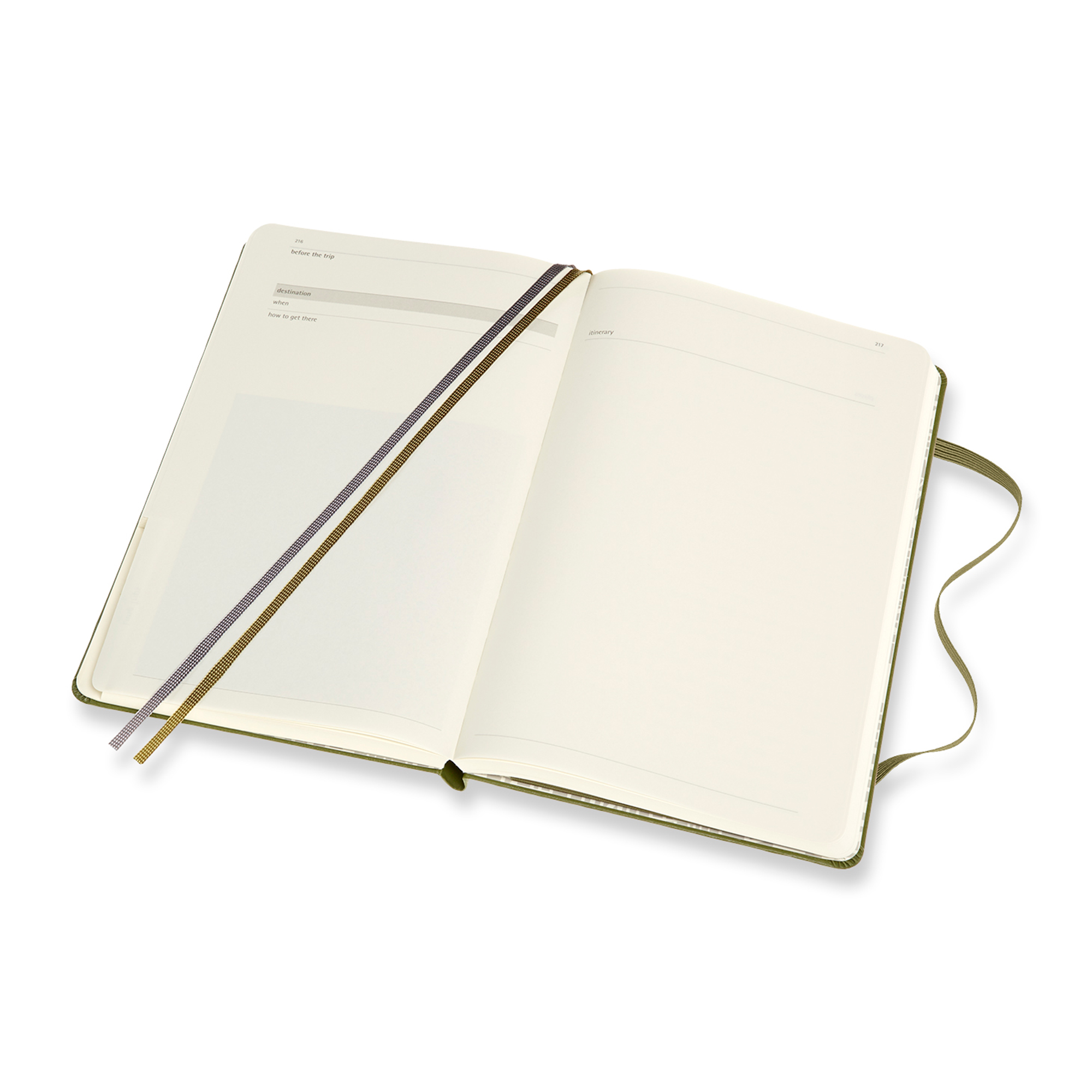 Picture of Moleskine Passion Journal - Travel - Elm Green