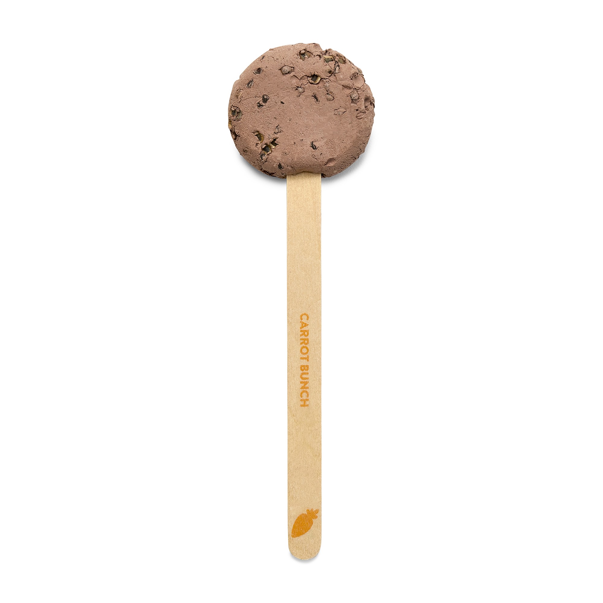 Picture of Modern Sprout Garden Seed Pop - Carrot Bunch