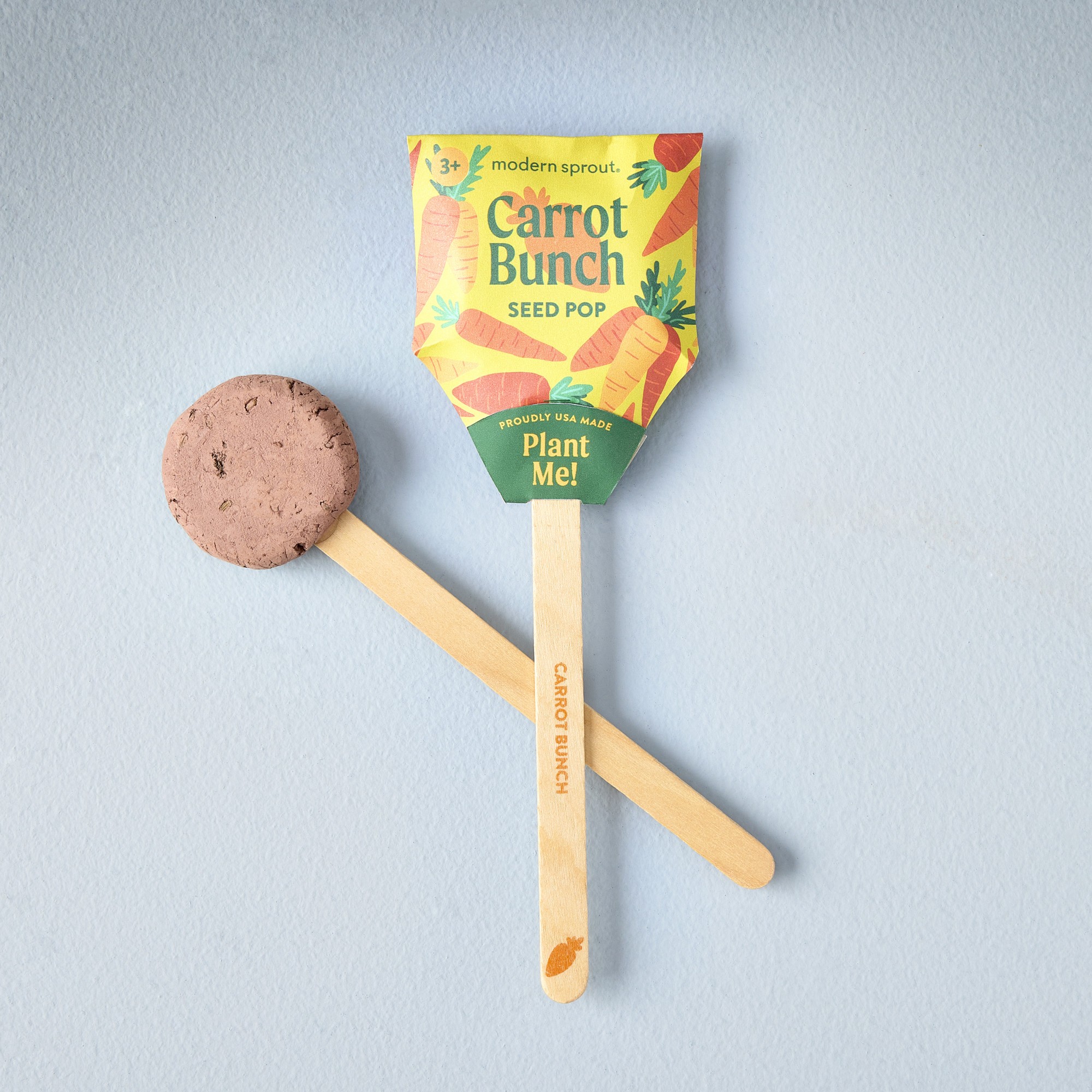 Picture of Modern Sprout Garden Seed Pop - Carrot Bunch
