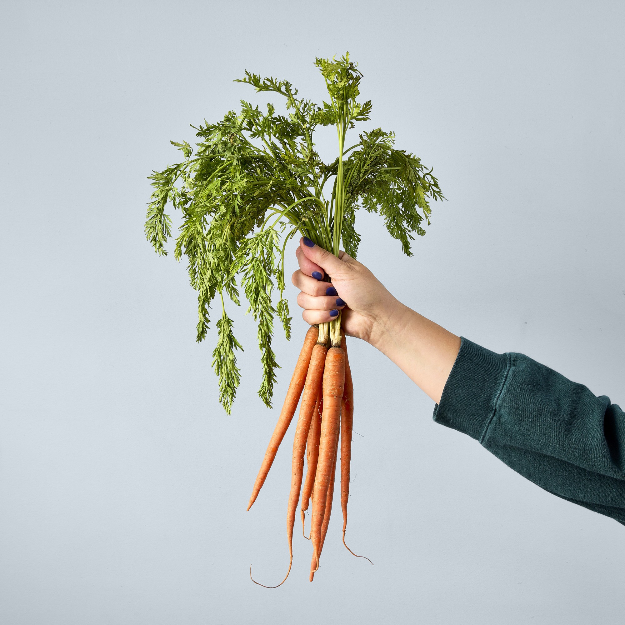 Picture of Modern Sprout Garden Seed Pop - Carrot Bunch