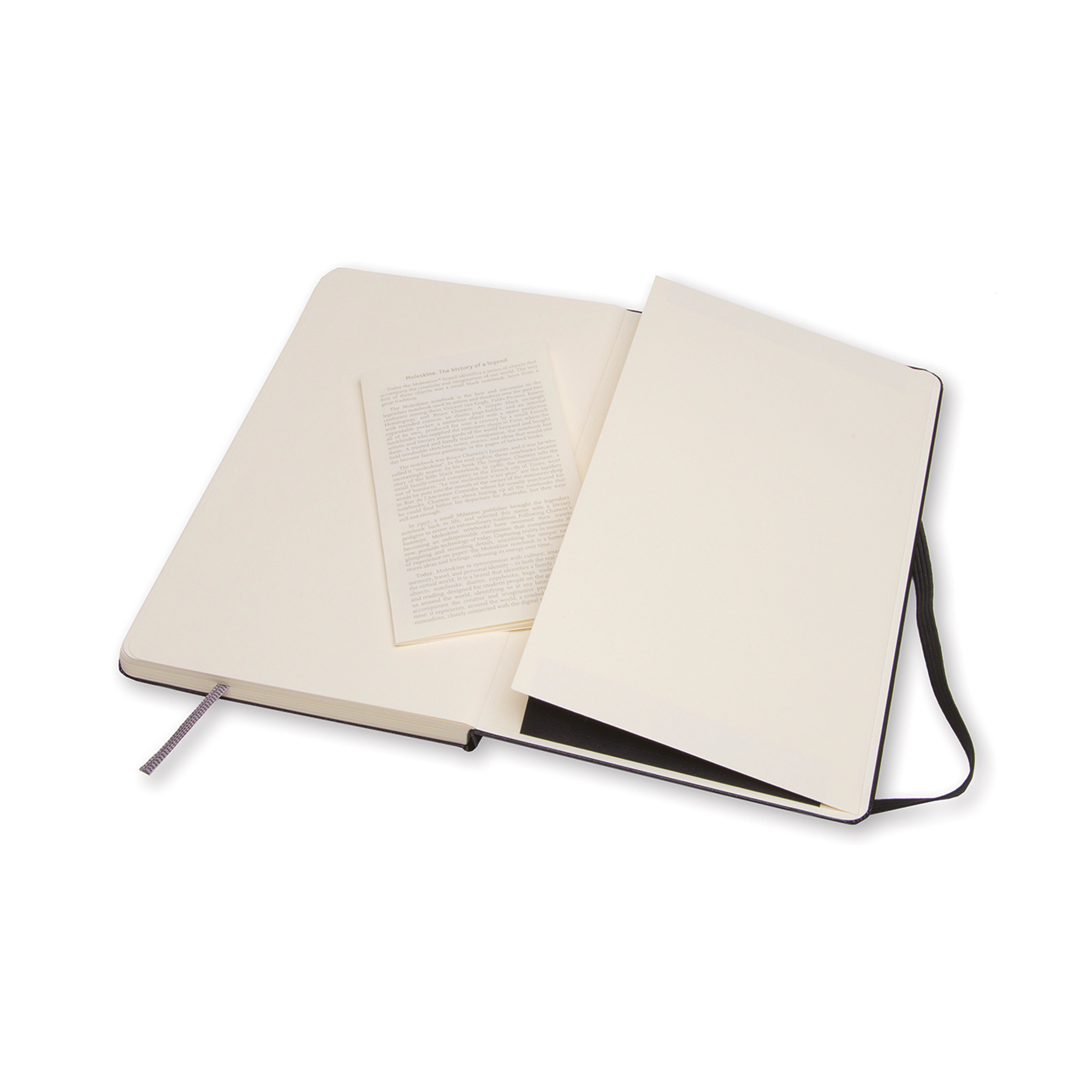 Picture of Moleskine Hard Cover Large Sketchbook - Black