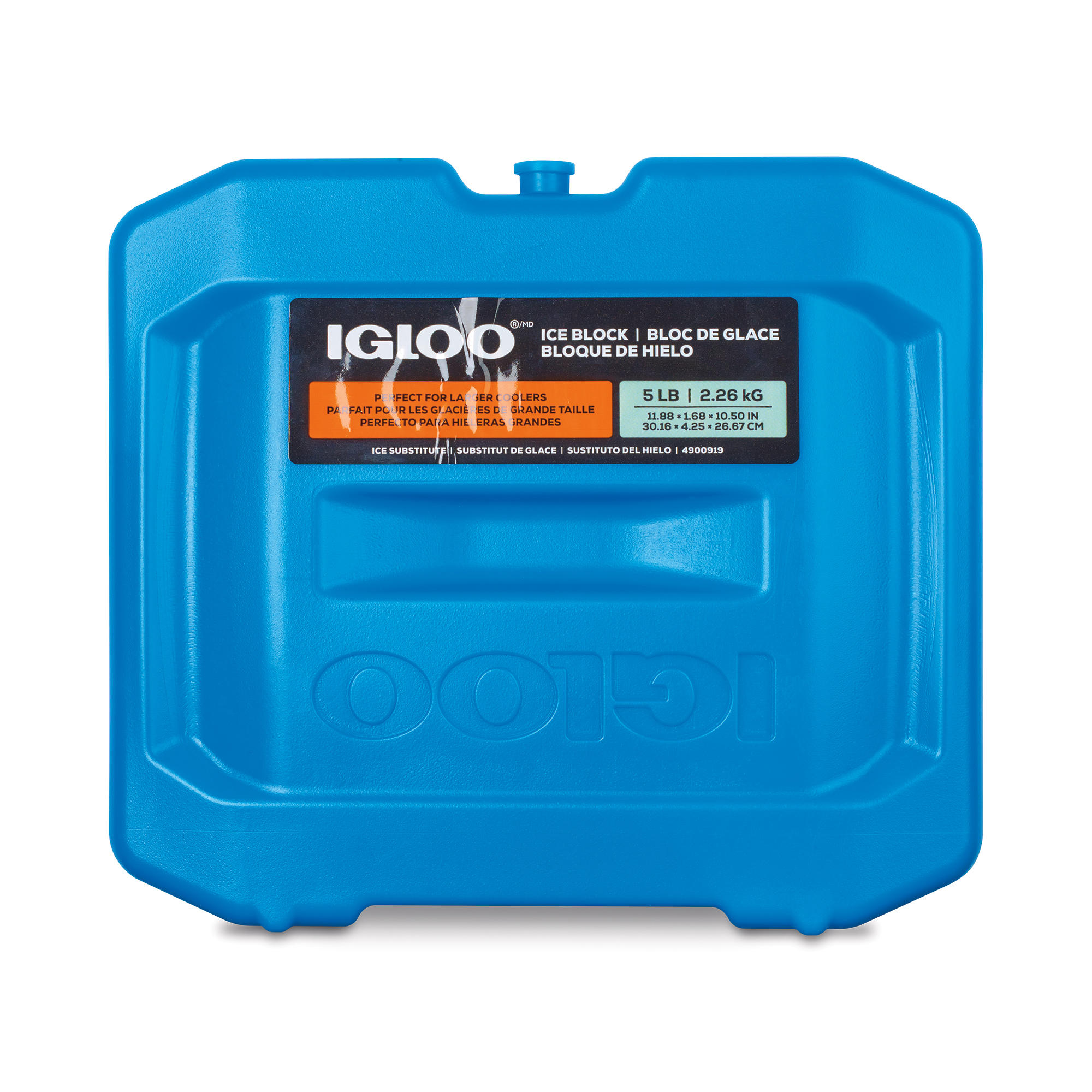 Picture of Igloo Ice Block - X Large - Turquoise
