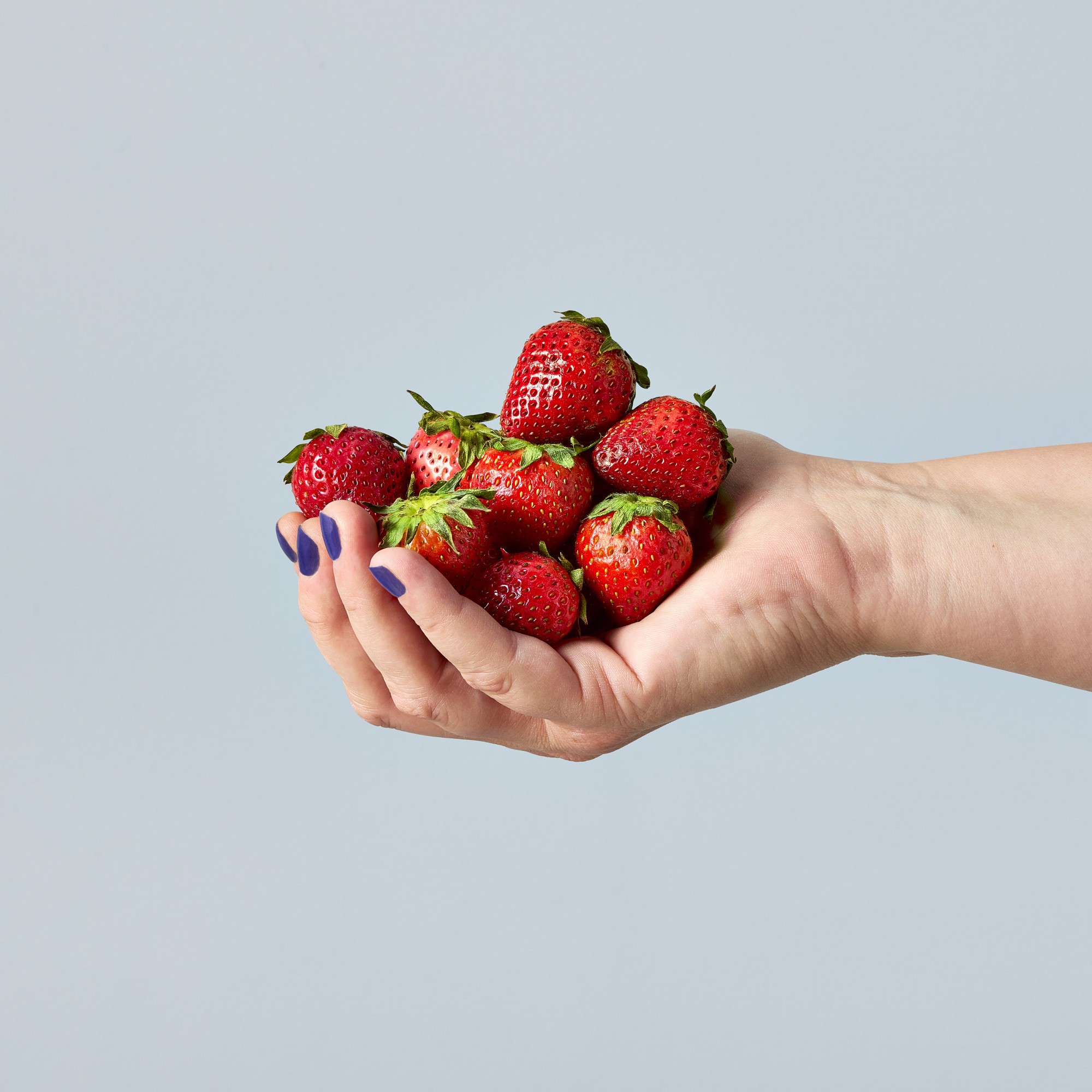 Picture of Modern Sprout Garden Seed Pop - Strawberry