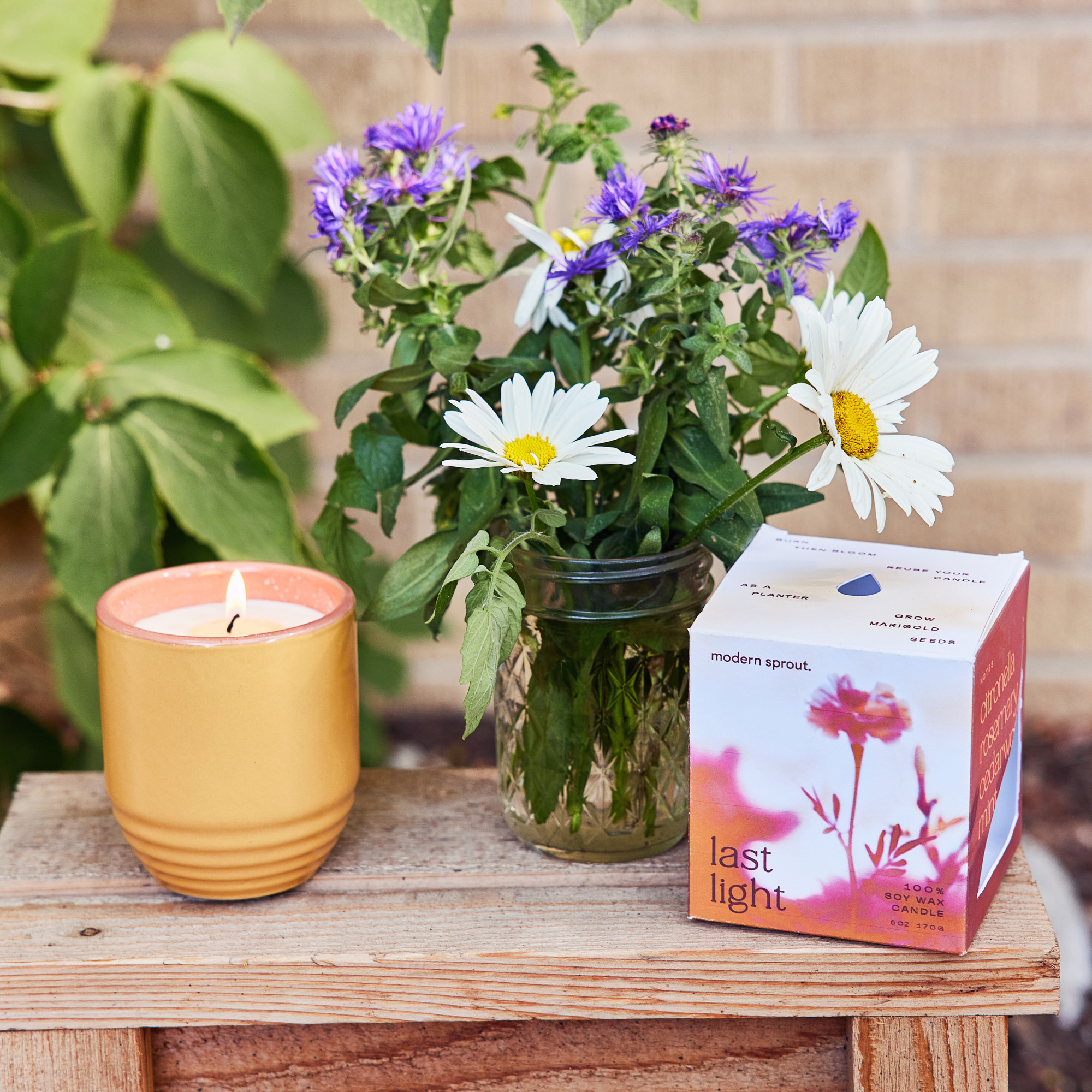 Picture of Modern Sprout Garden Vibes Candle/Planter - Last Light-Marigold
