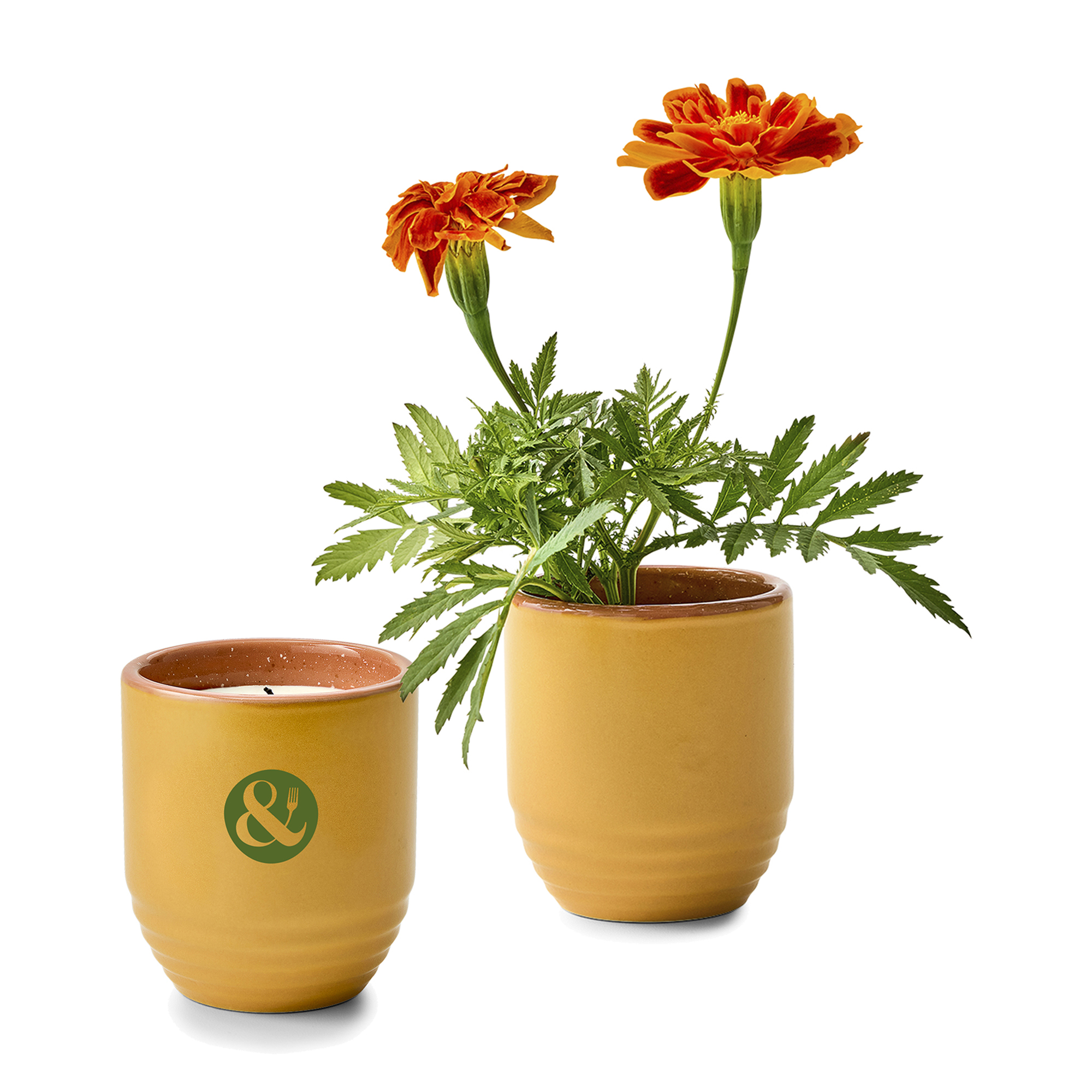 Picture of Modern Sprout Garden Vibes Candle/Planter - Last Light-Marigold