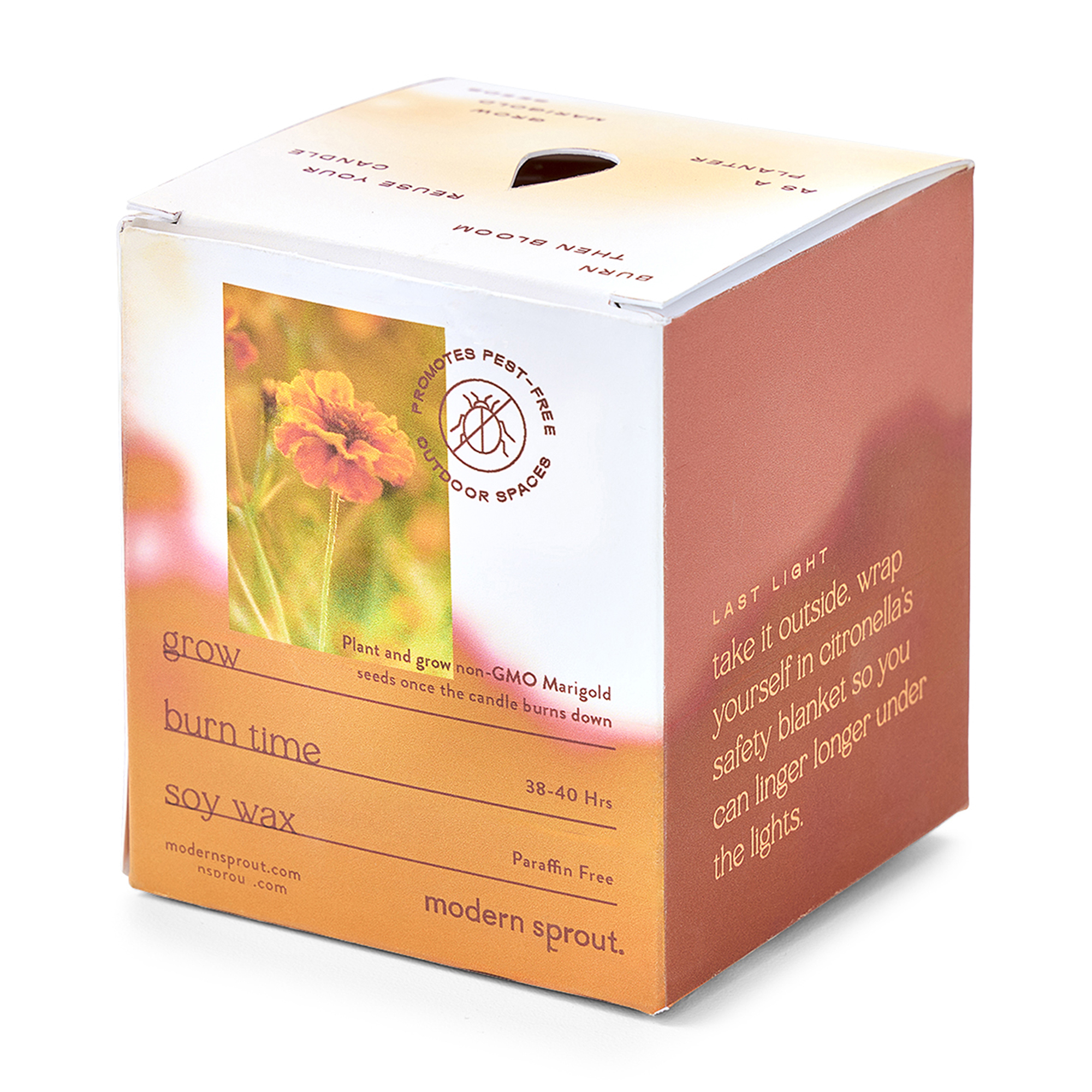 Picture of Modern Sprout Garden Vibes Candle/Planter - Last Light-Marigold