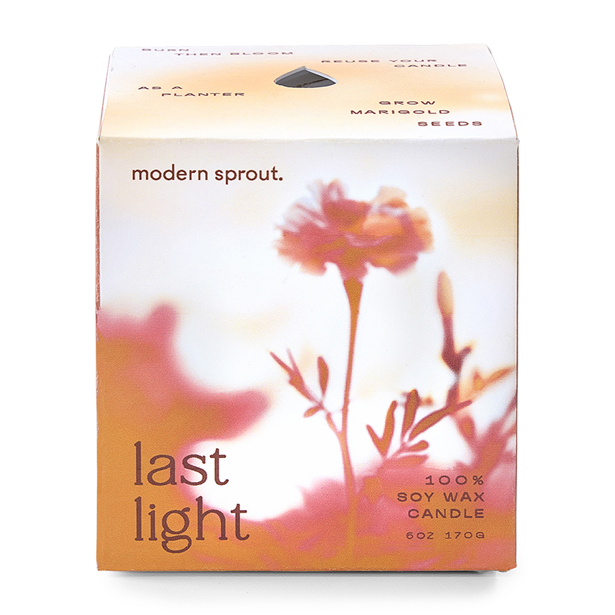 Picture of Modern Sprout Garden Vibes Candle/Planter - Last Light-Marigold