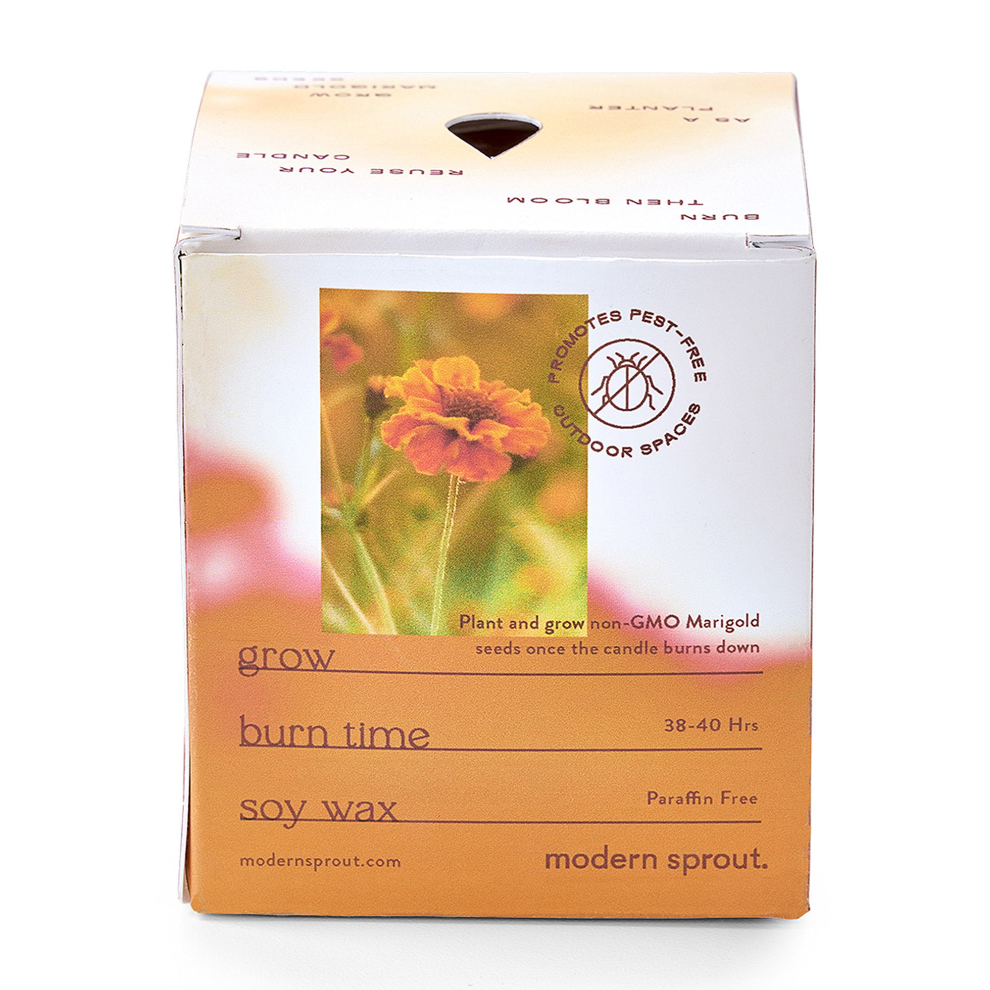 Picture of Modern Sprout Garden Vibes Candle/Planter - Last Light-Marigold