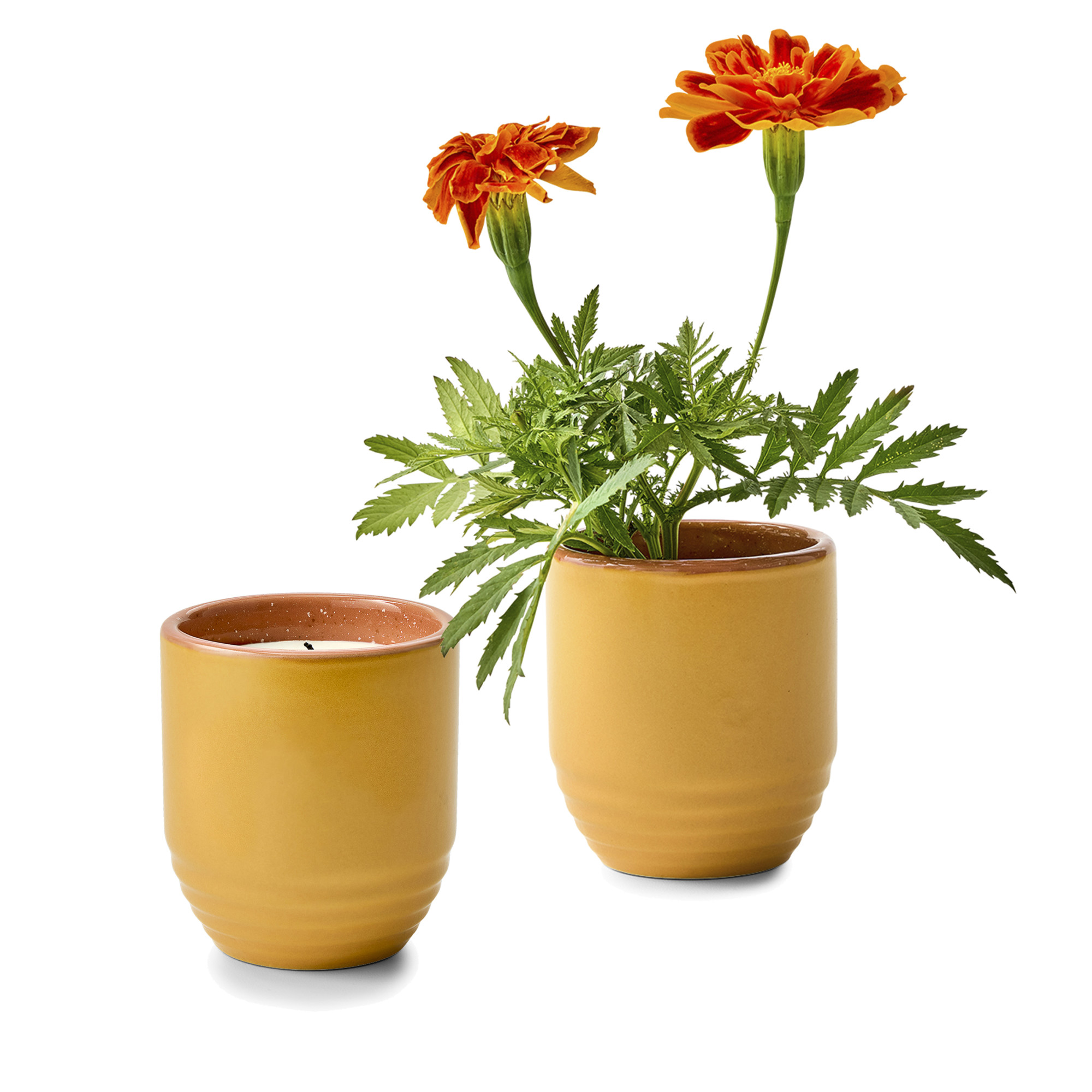 Picture of Modern Sprout Garden Vibes Candle/Planter - Last Light-Marigold