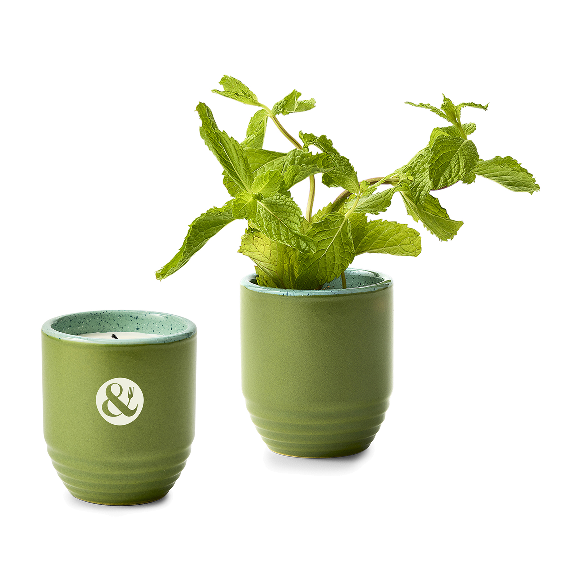 Picture of Modern Sprout Garden Vibes Candle/Planter - In The Weeds-Mint