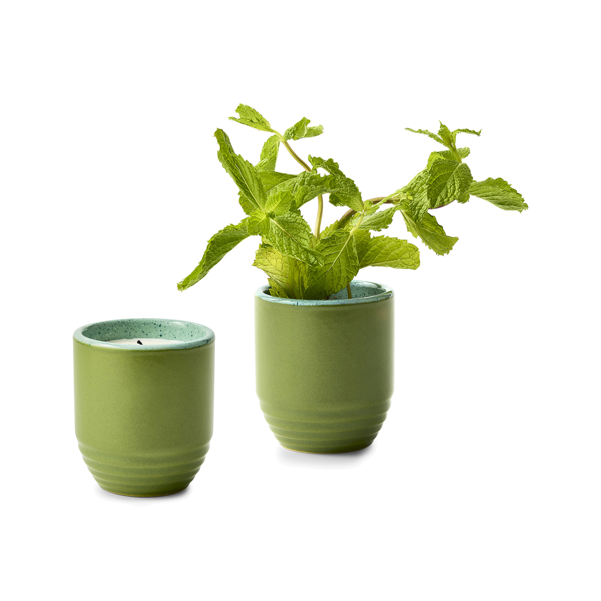 Picture of Modern Sprout Garden Vibes Candle/Planter - In The Weeds-Mint