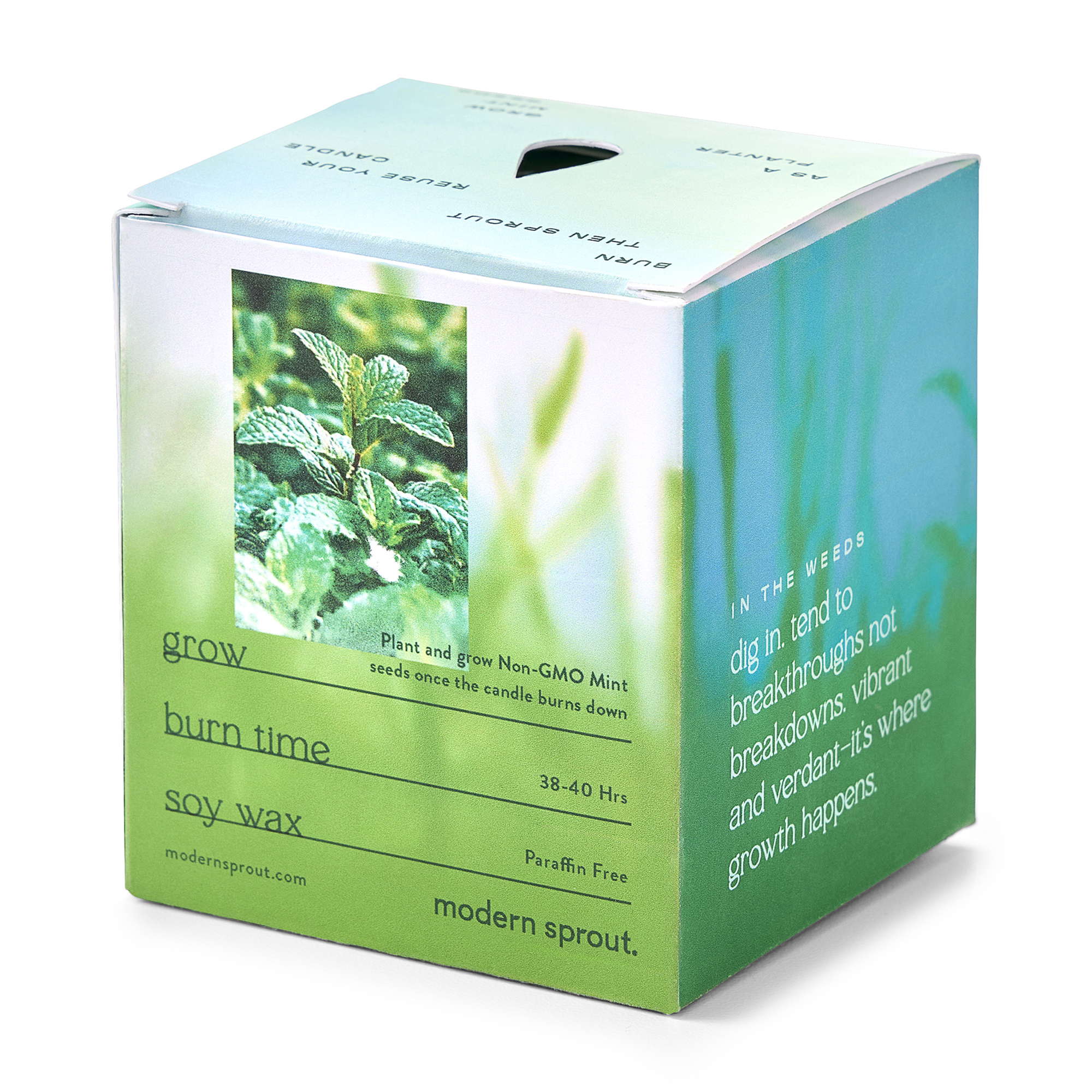 Picture of Modern Sprout Garden Vibes Candle/Planter - In The Weeds-Mint