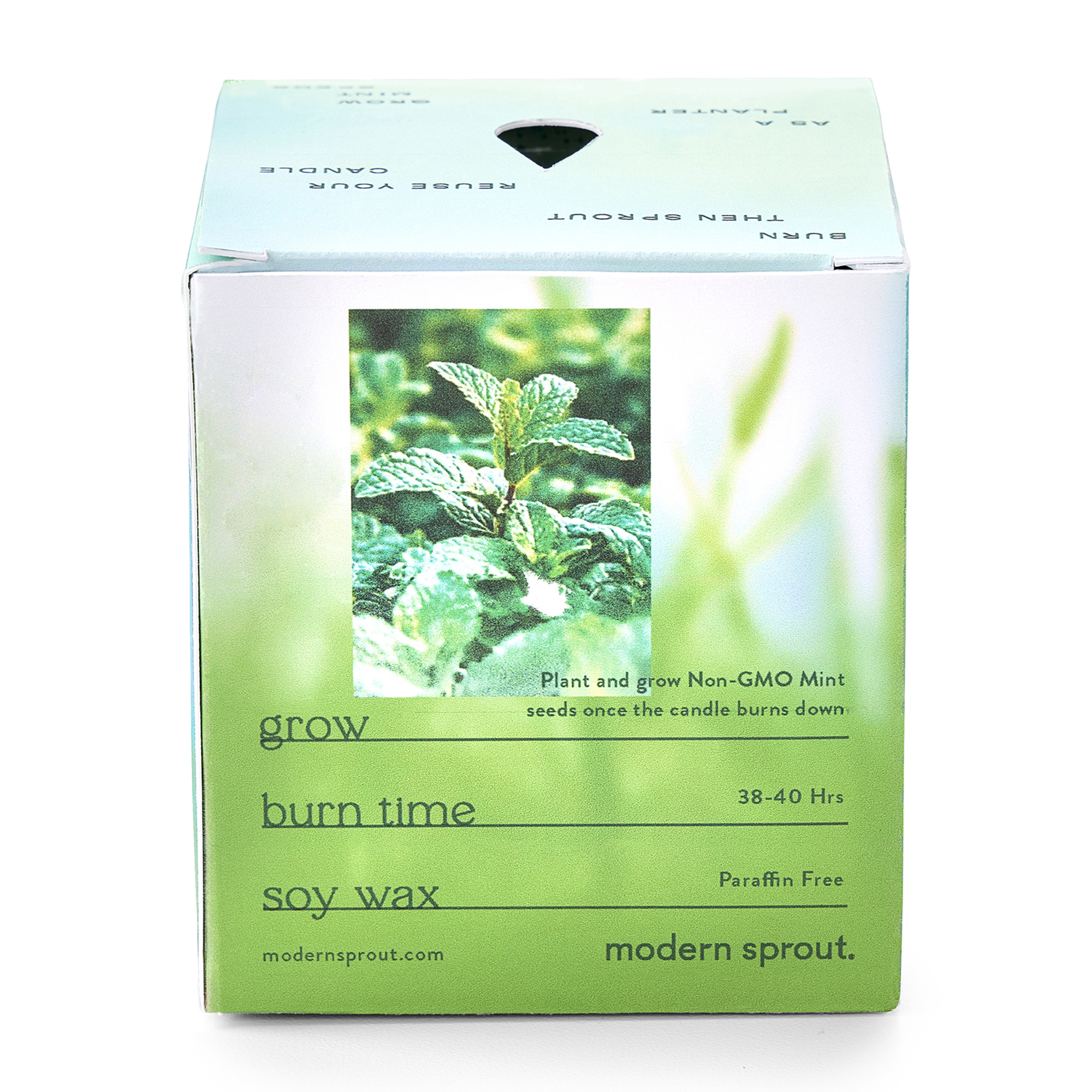 Picture of Modern Sprout Garden Vibes Candle/Planter - In The Weeds-Mint