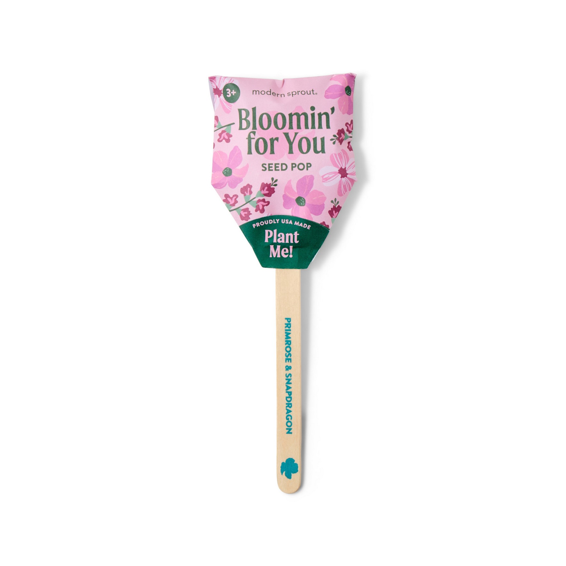 Picture of Modern Sprout Flower Seed Pop - Bloomin' for you
