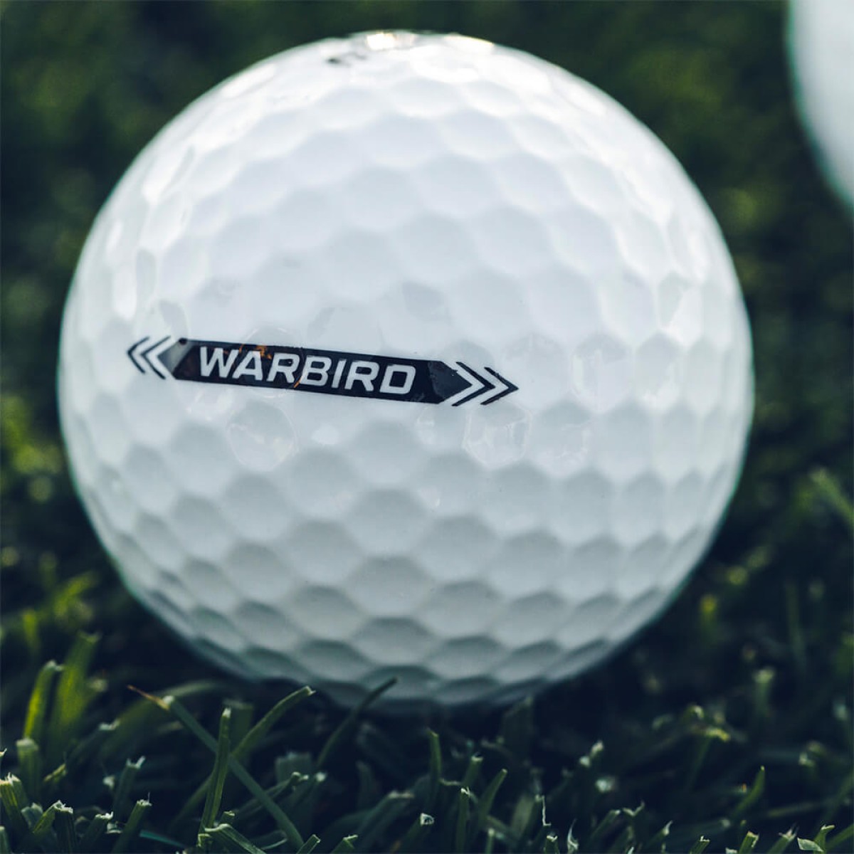 Picture of Callaway Warbird Golf Balls