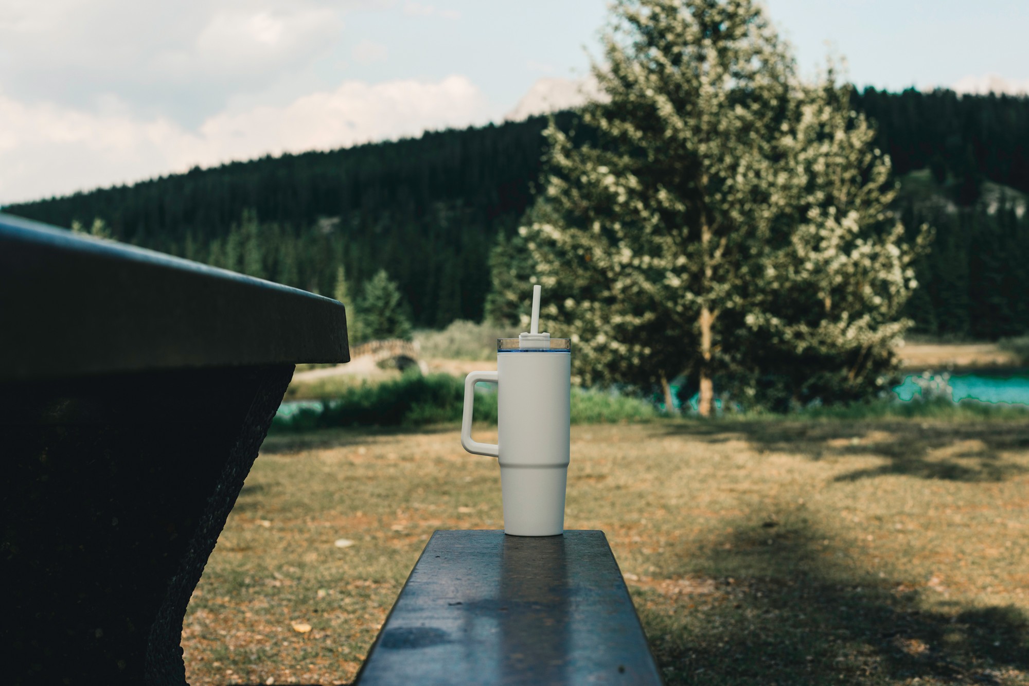 Picture of Tana Plastic Tumbler with Handle 900ML - White