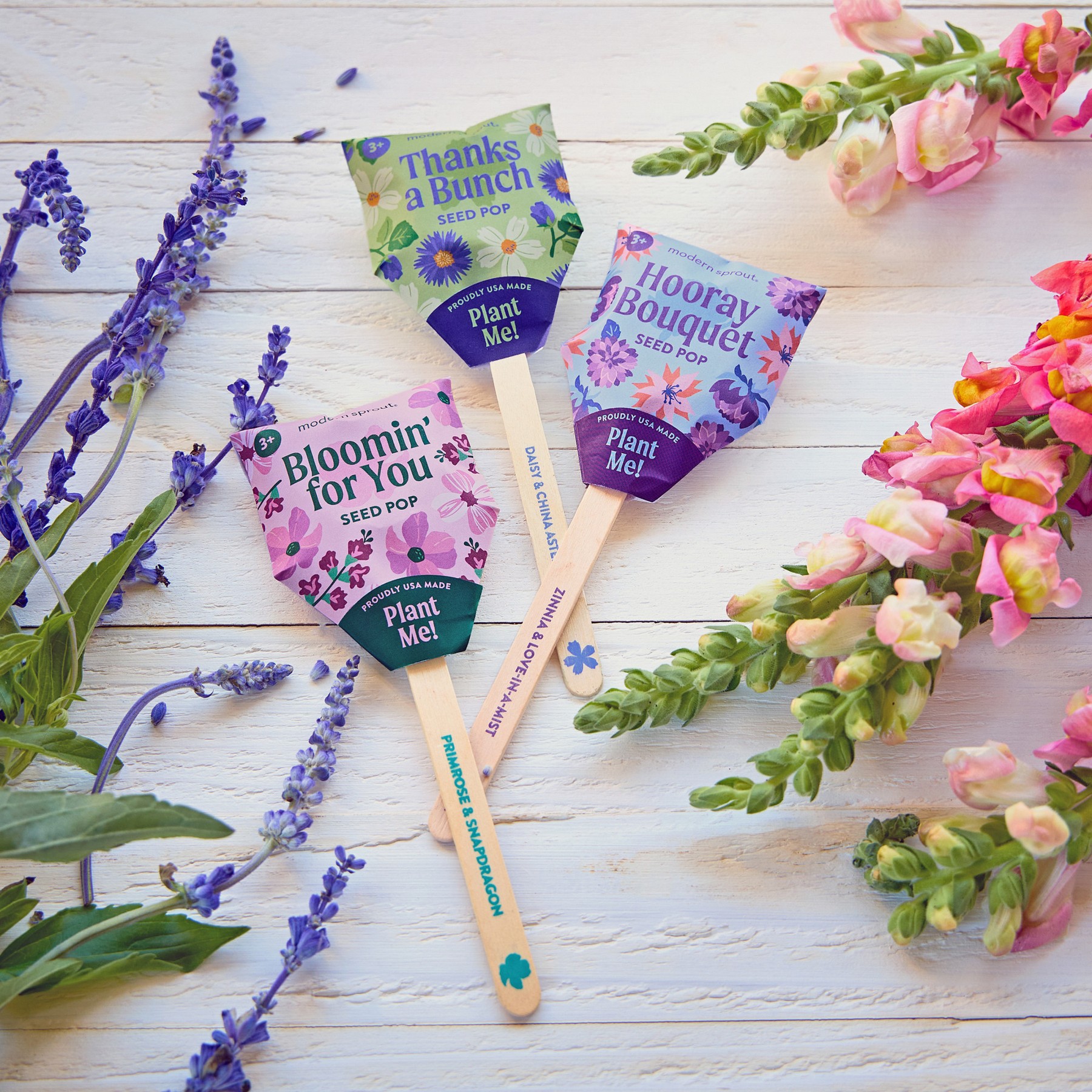Picture of Modern Sprout Flower Seed Pop - Hooray Bouquet