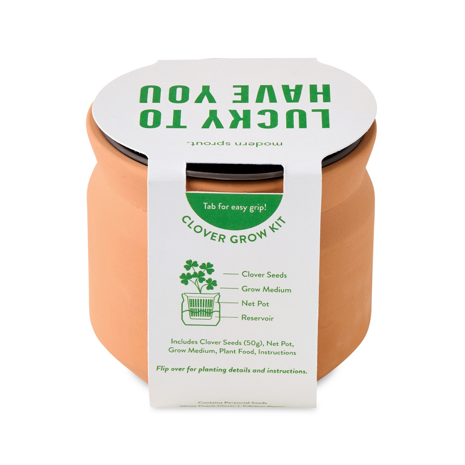 Picture of Modern Sprout Tiny Terracotta Lucky to Have You - Terracotta