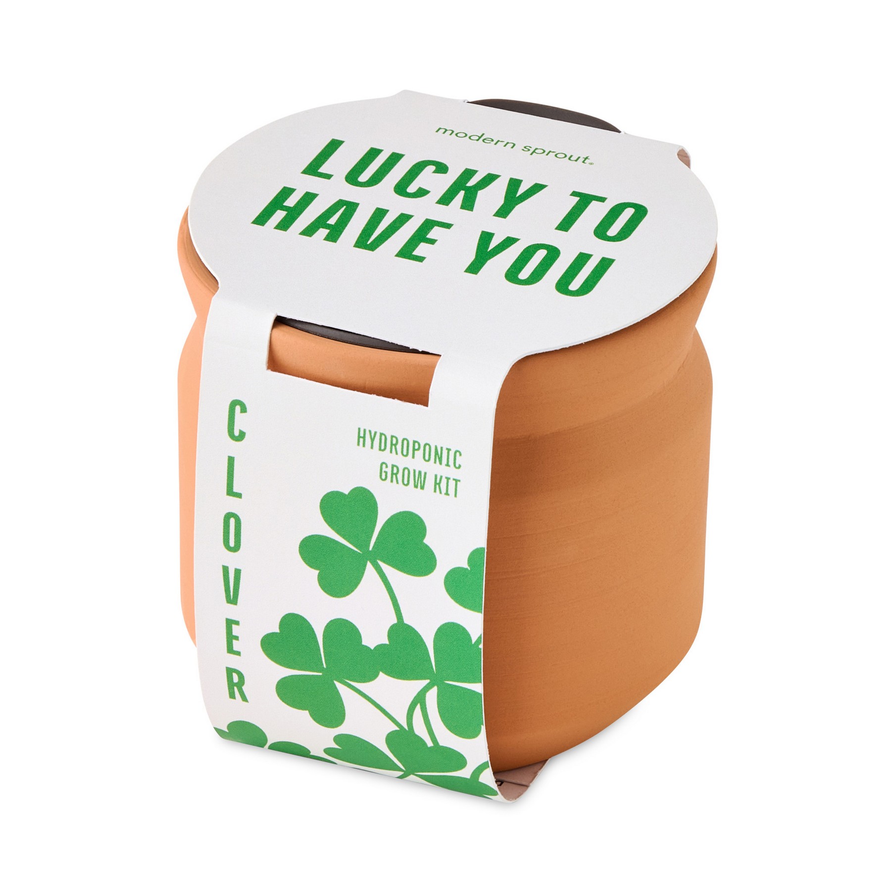 Picture of Modern Sprout Tiny Terracotta Lucky to Have You - Terracotta