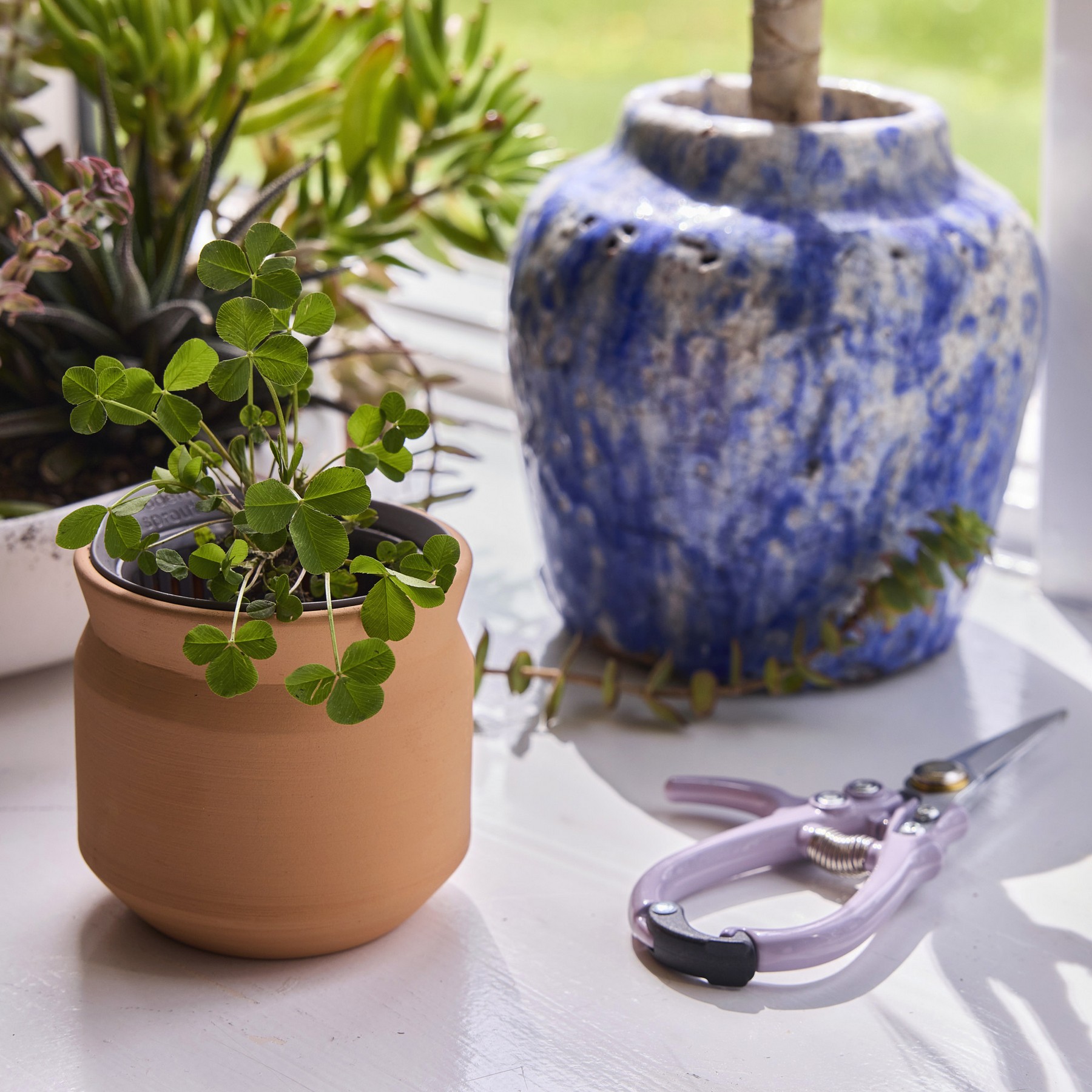 Picture of Modern Sprout Tiny Terracotta Lucky to Have You - Terracotta
