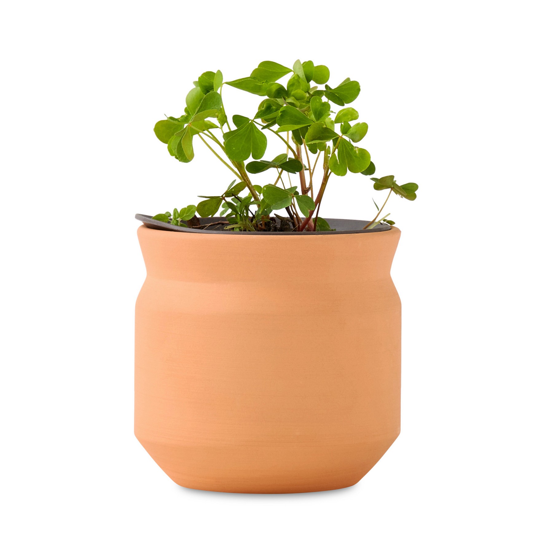 Picture of Modern Sprout Tiny Terracotta Lucky to Have You - Terracotta