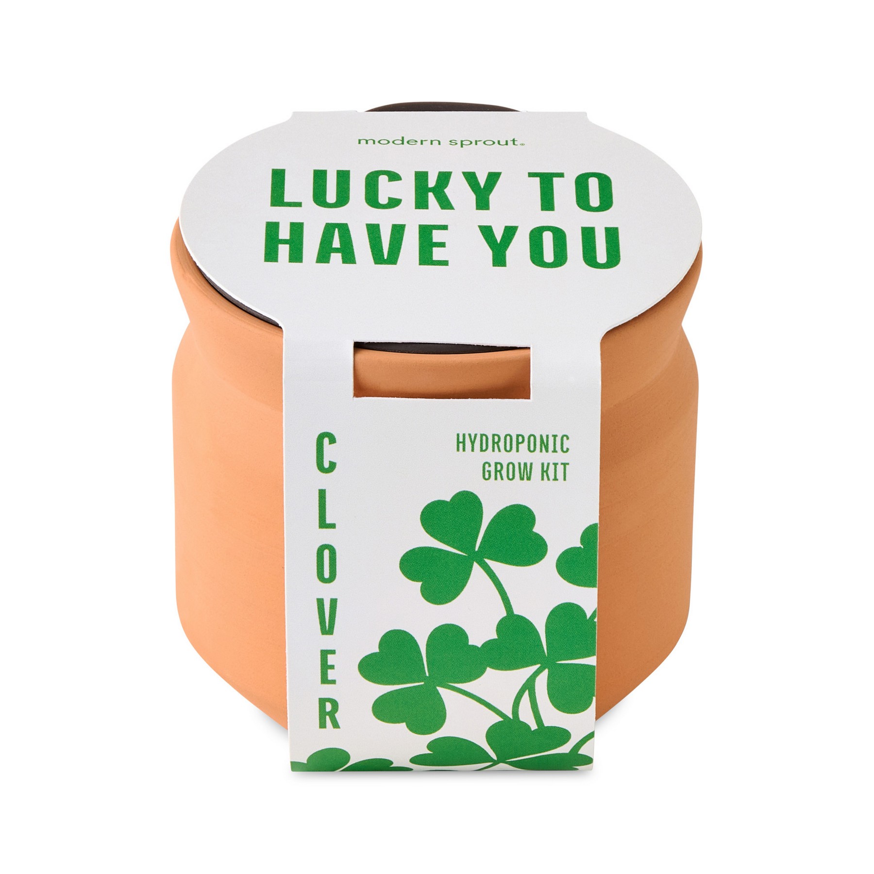 Picture of Modern Sprout Tiny Terracotta Lucky to Have You - Terracotta