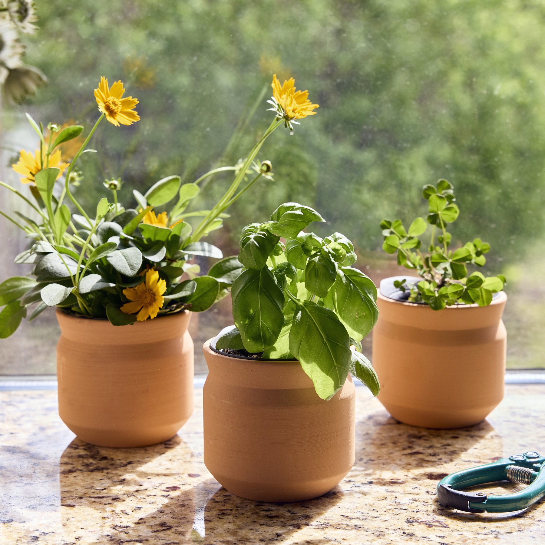Picture of Modern Sprout Tiny Terracotta Lucky to Have You - Terracotta
