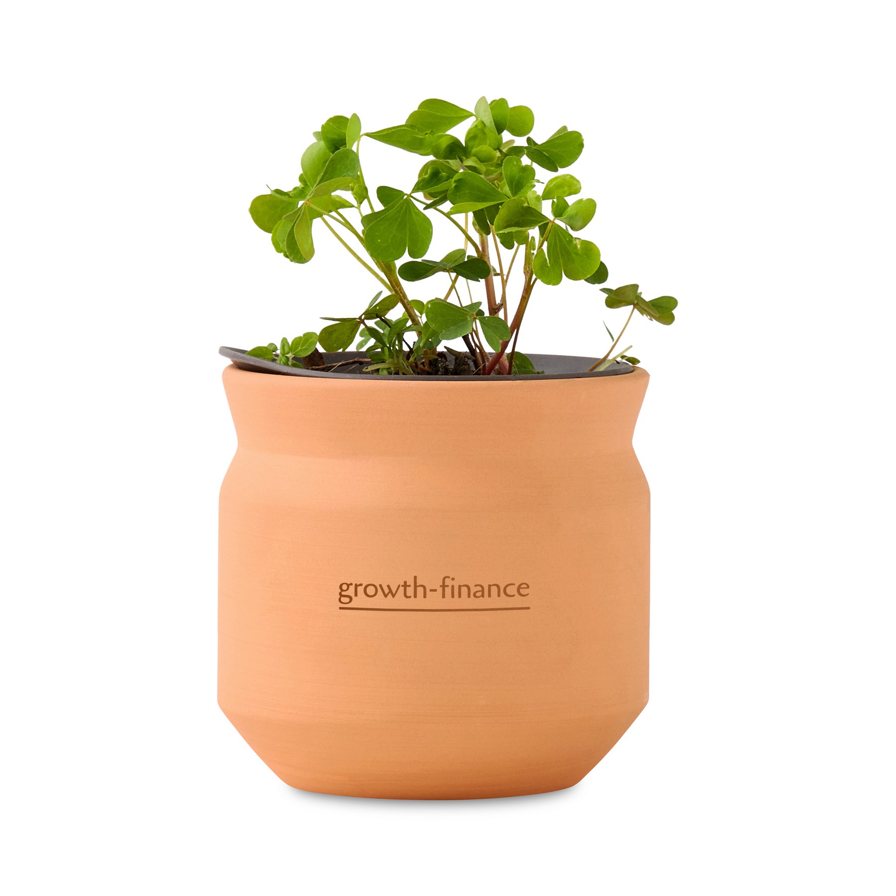 Picture of Modern Sprout Tiny Terracotta Lucky to Have You - Terracotta