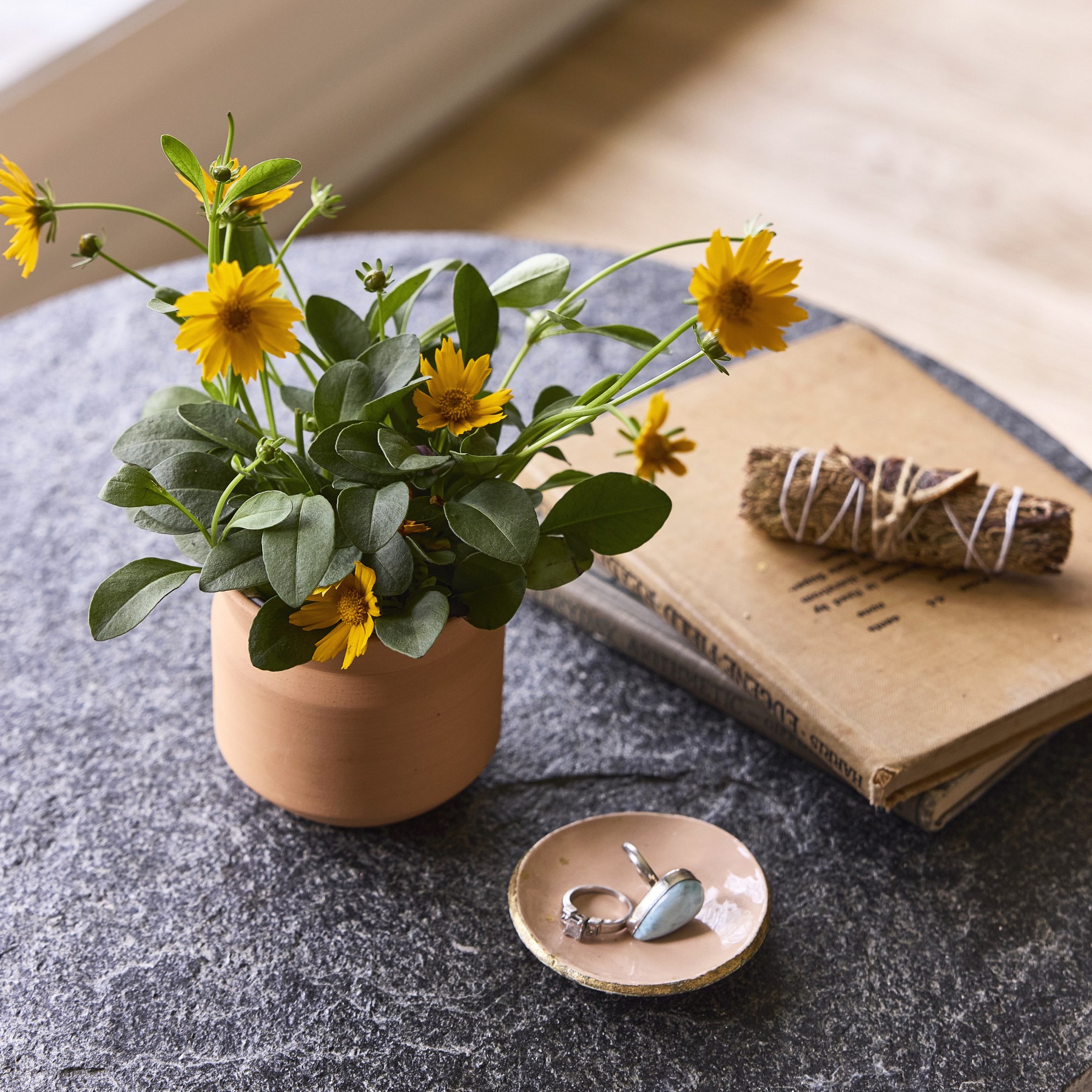 Picture of Modern Sprout Tiny Terracotta Thank You - Terracotta