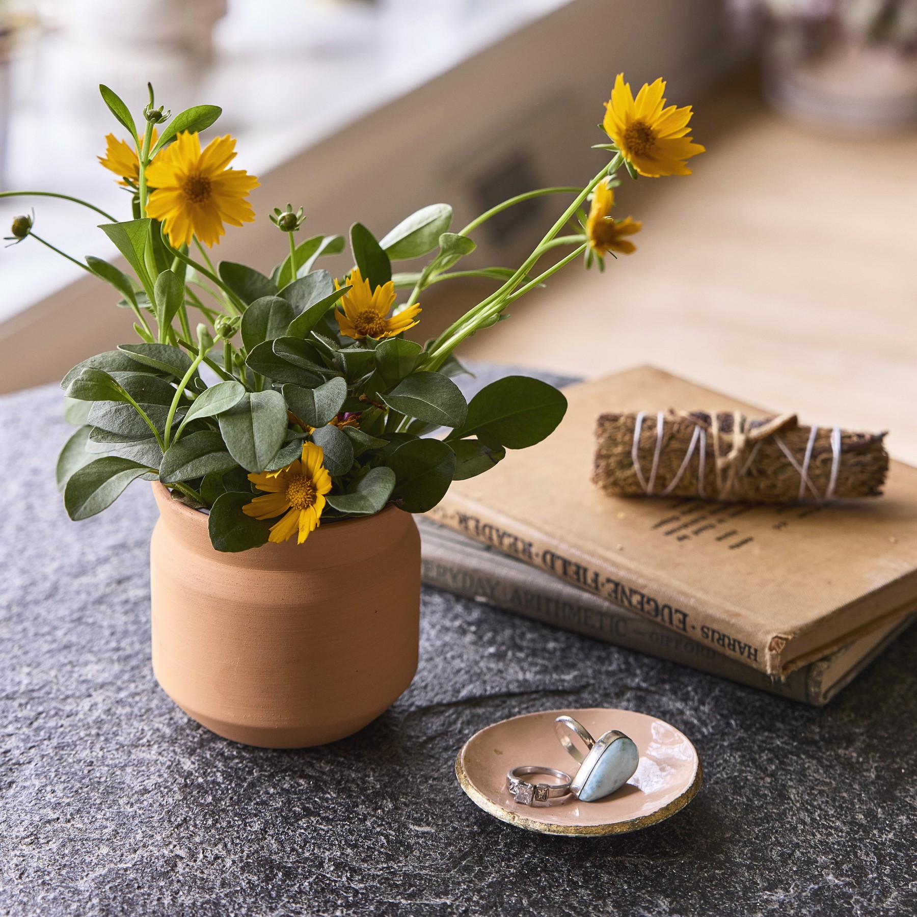 Picture of Modern Sprout Tiny Terracotta Thank You - Terracotta