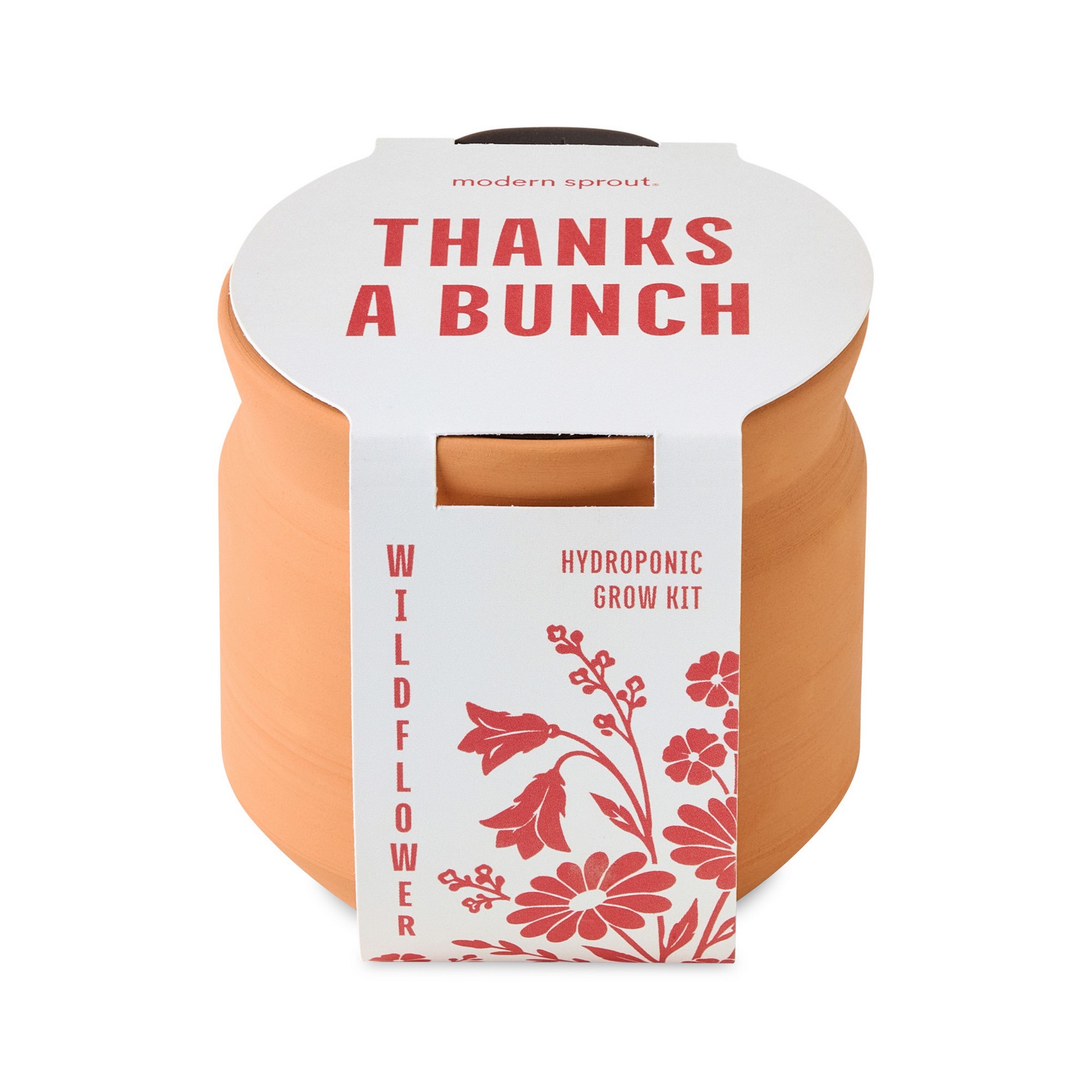 Picture of Modern Sprout Tiny Terracotta Thank You - Terracotta