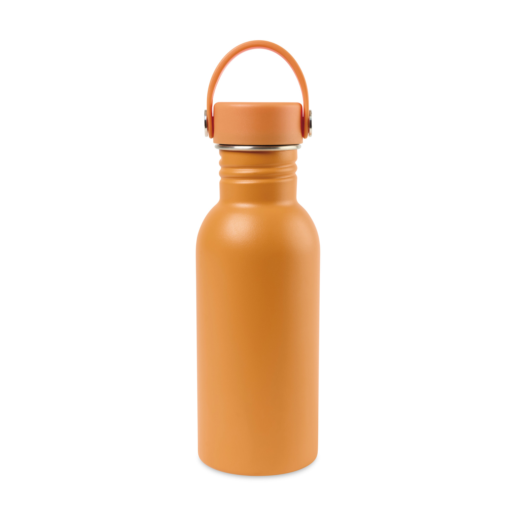 Picture of Arlo Classics Stainless Steel Hydration Bottle - 17 Oz. - Carrot Curl