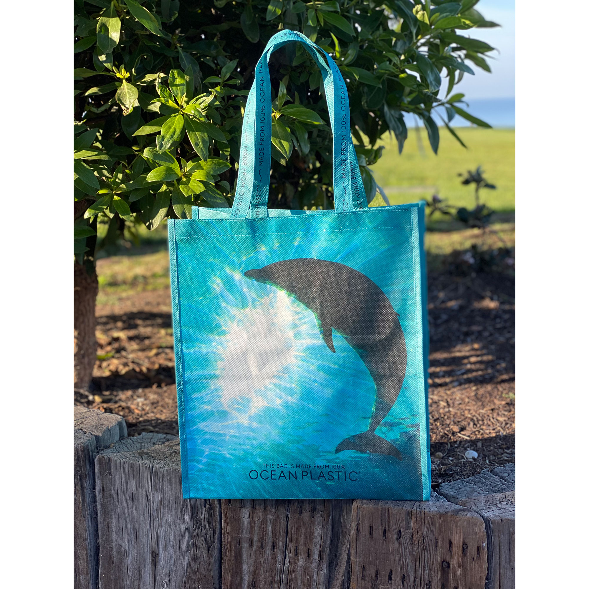 Picture of Out of the Ocean Reusable Large Shopper - Seafoam